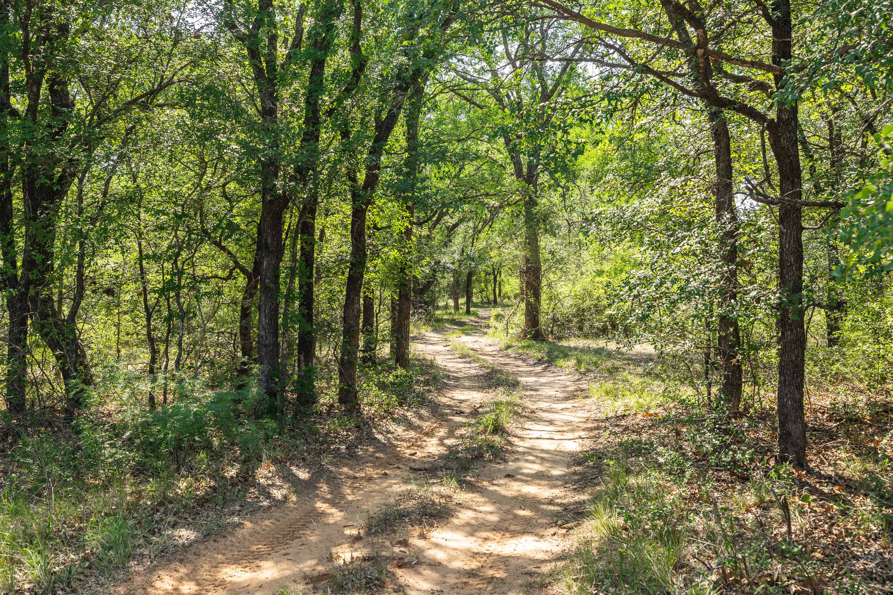 2675 County Road 304 Comanche TX 76442