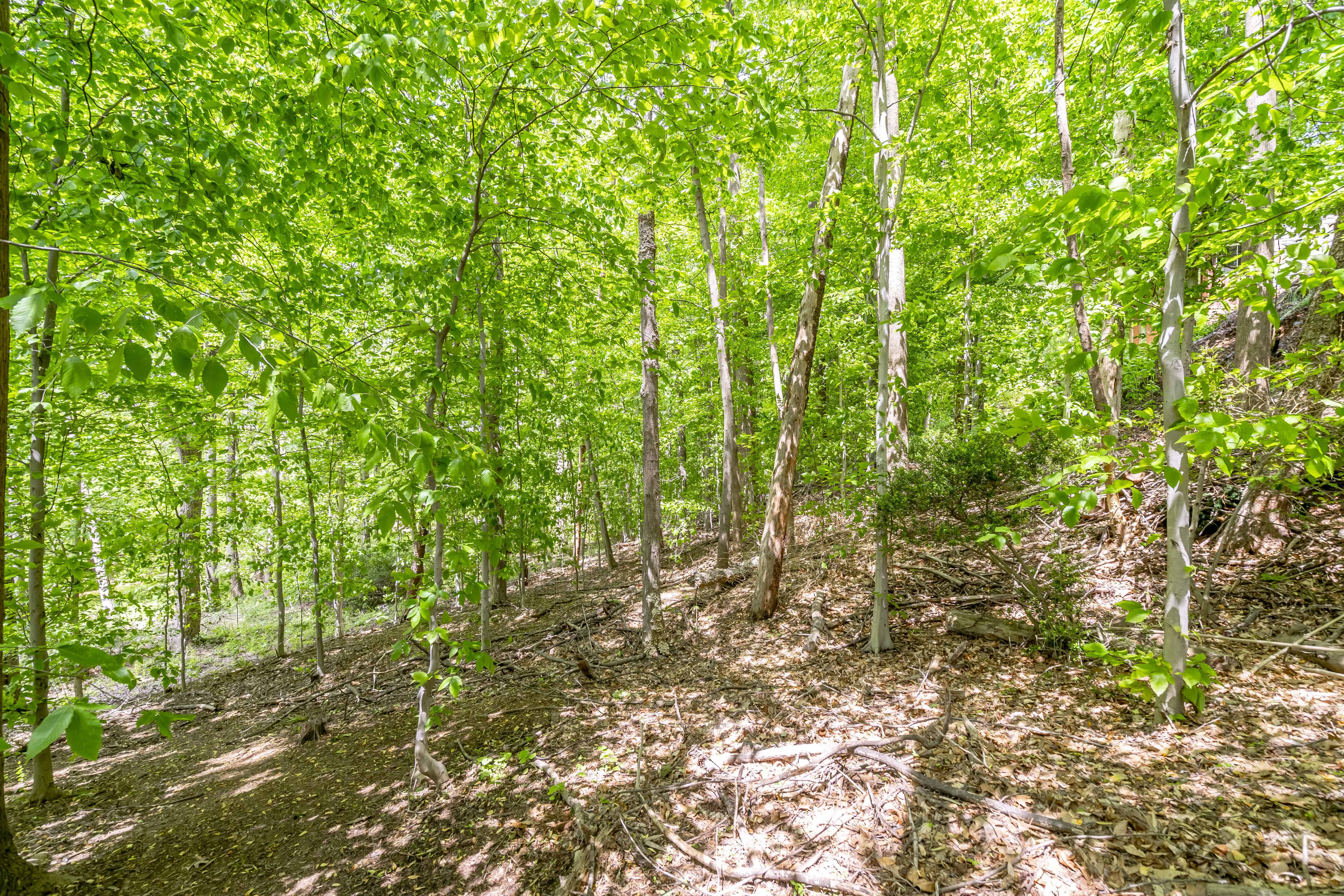 817 Clinton Place Mclean VA 22101