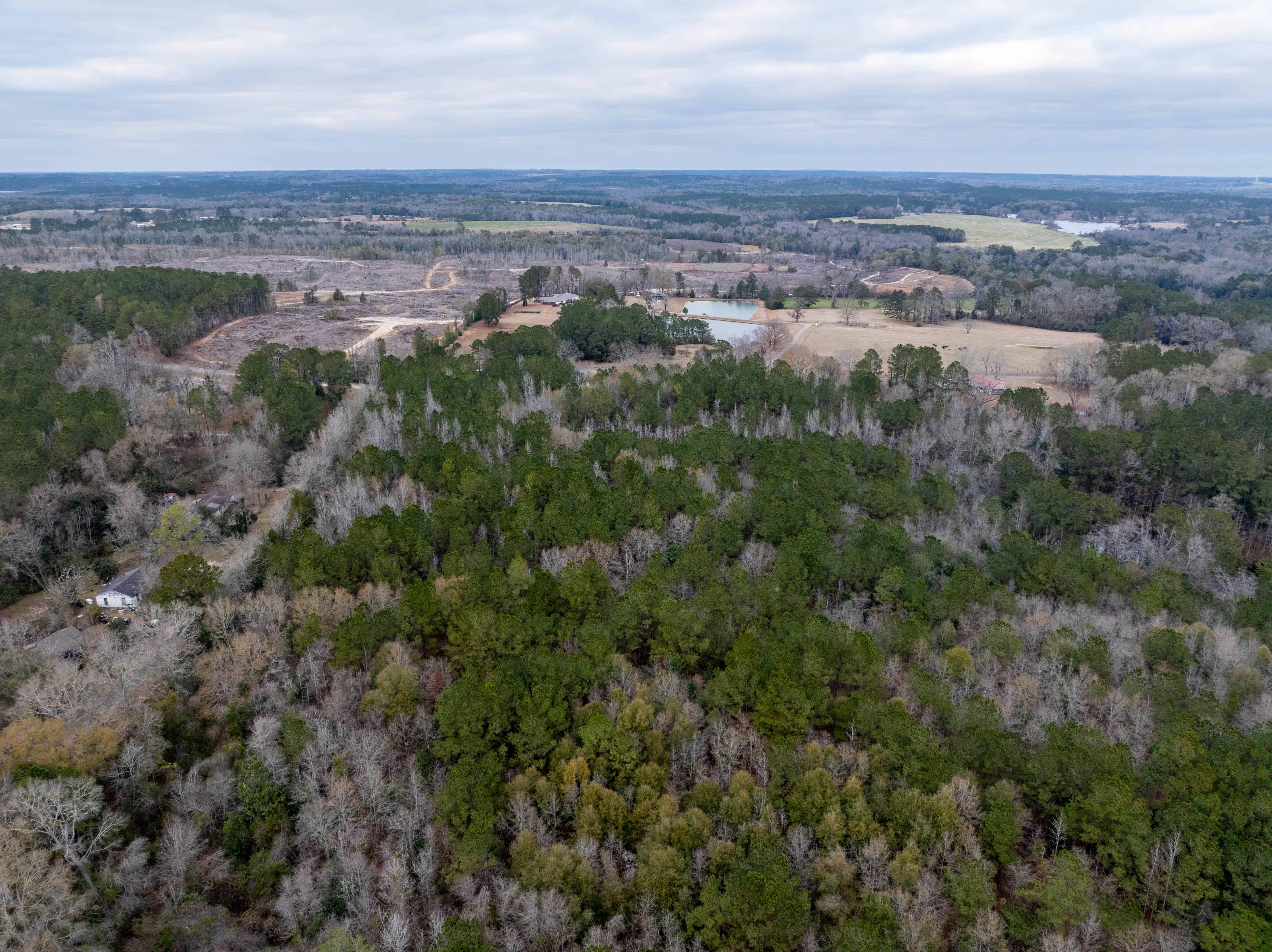 County Road 38 Ozark AL 36360
