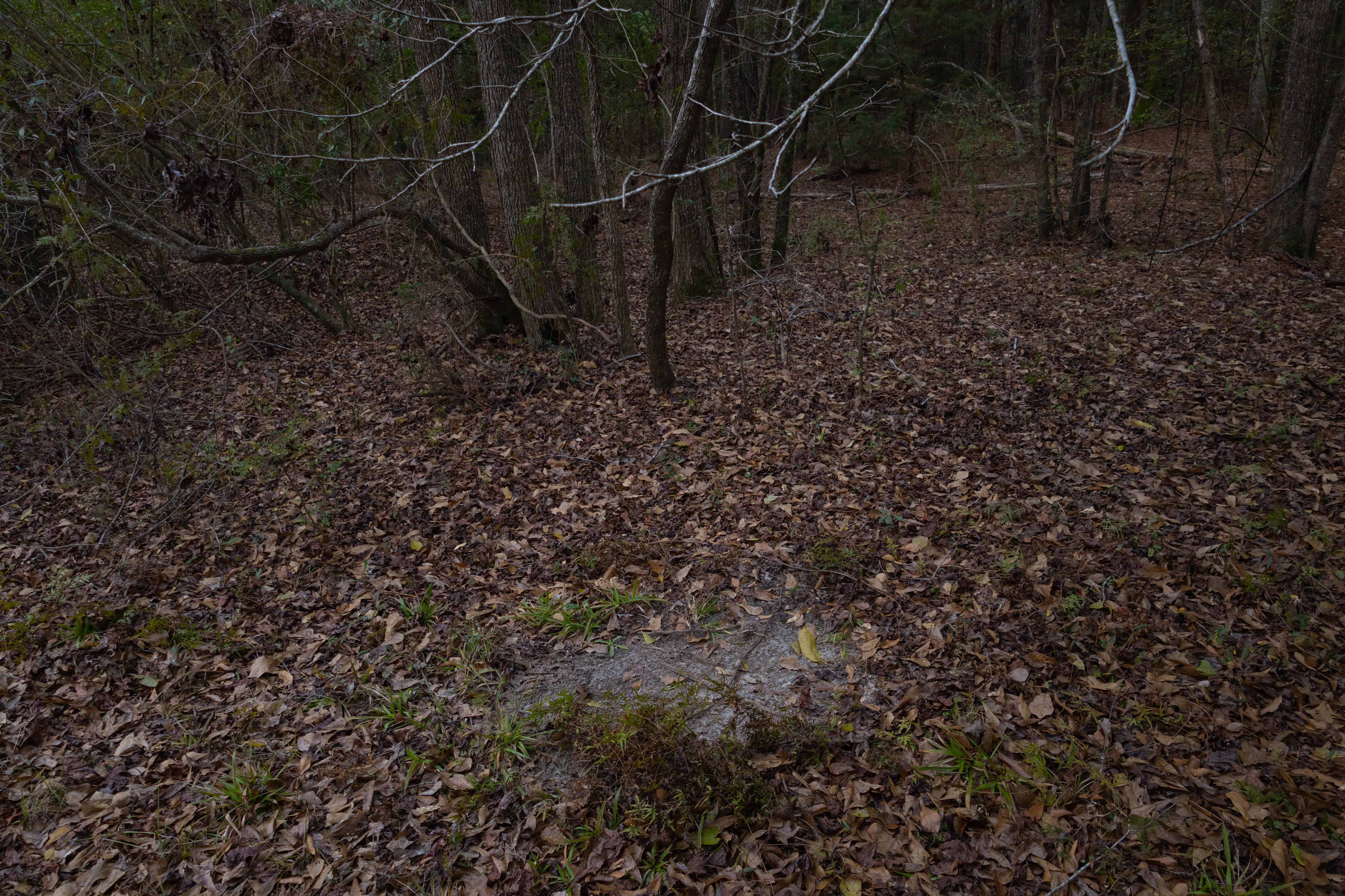 County Road 38 Ozark AL 36360