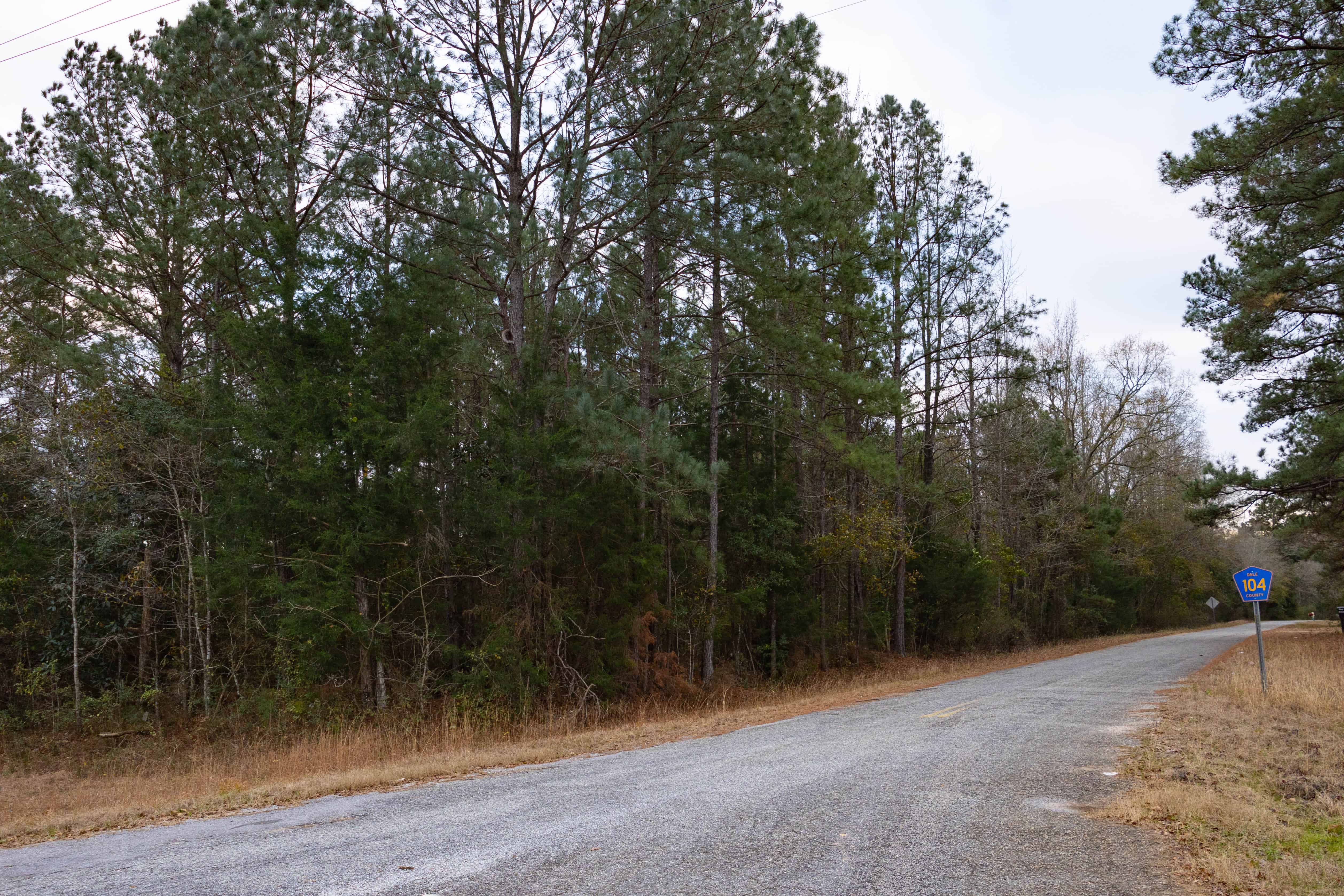 County Road 38 Ozark AL 36360