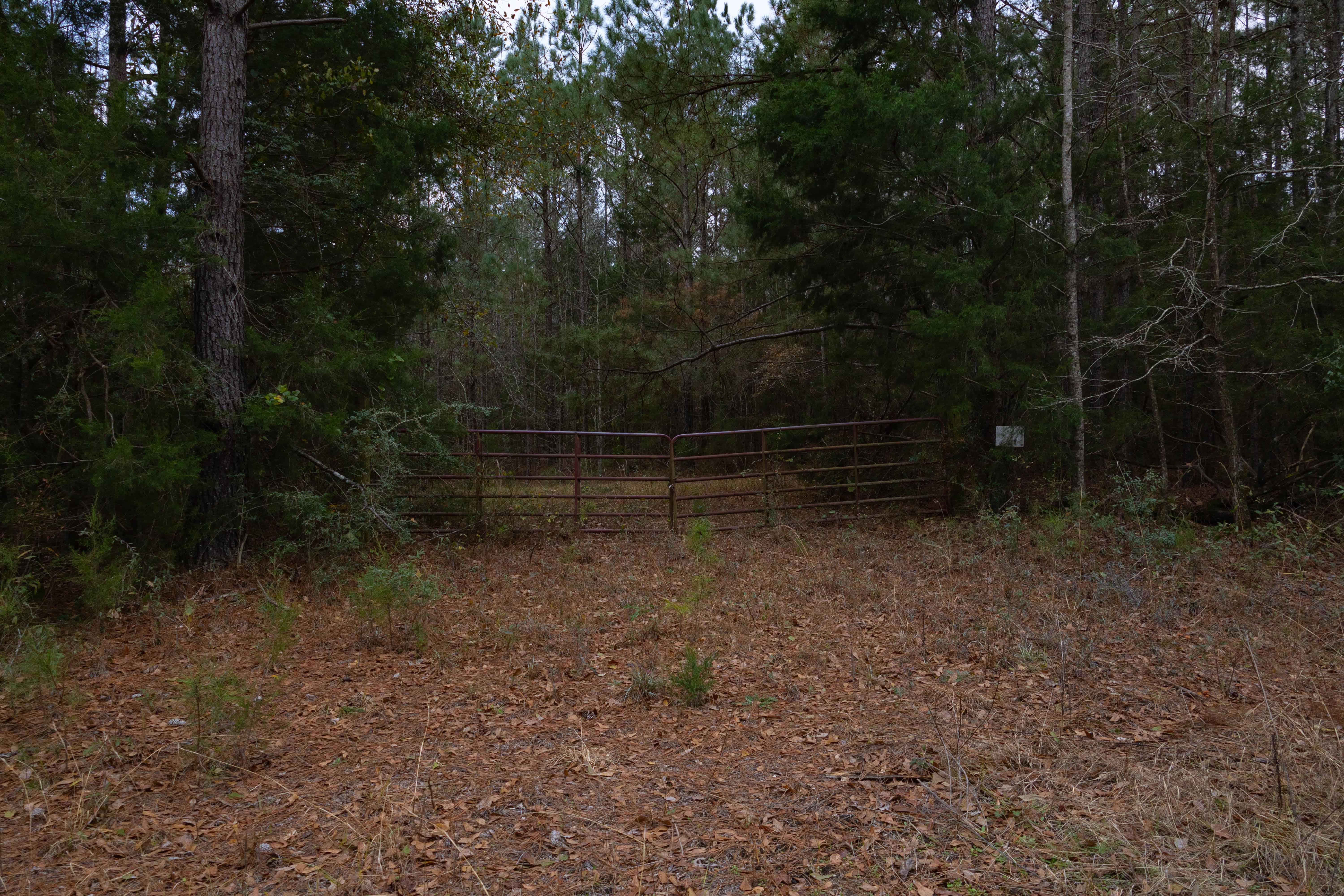 County Road 38 Ozark AL 36360