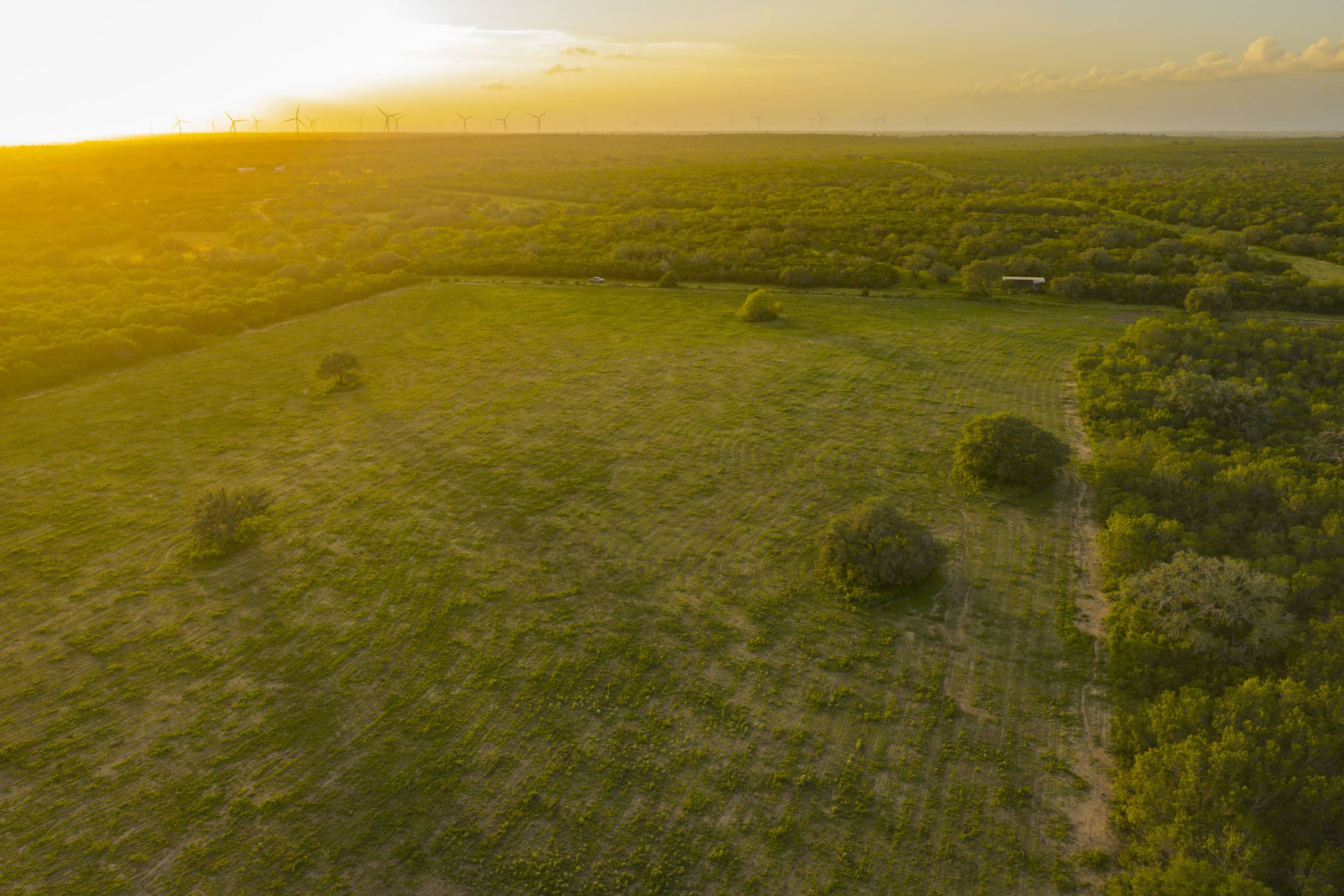 10255 Cr 113 Pettus TX 78146