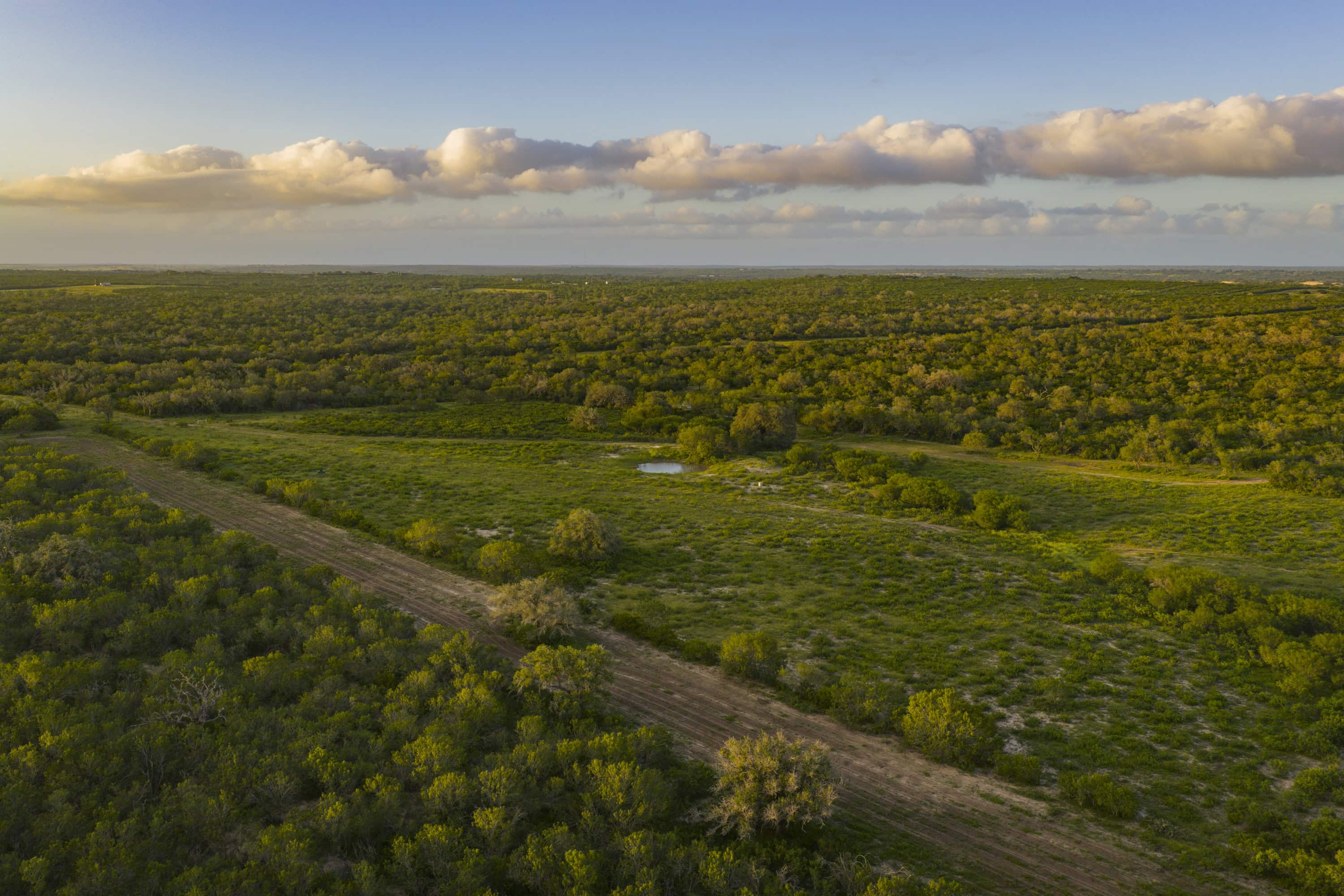 10255 Cr 113 Pettus TX 78146