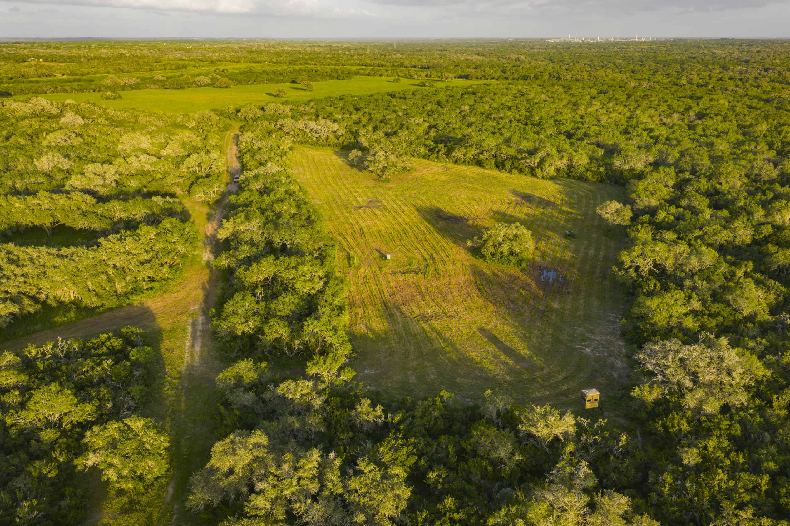 10255 Cr 113 Pettus TX 78146