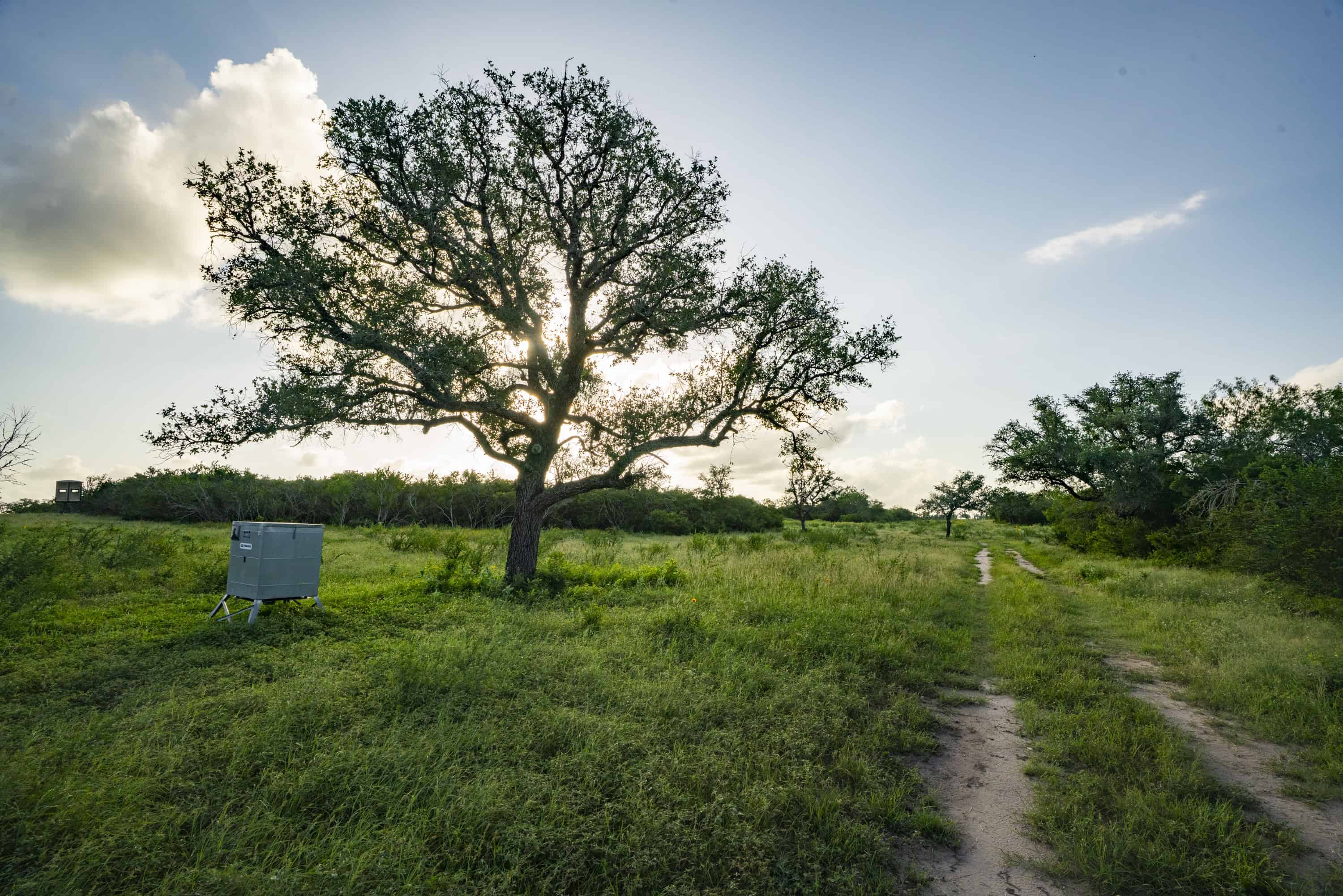 10255 Cr 113 Pettus TX 78146