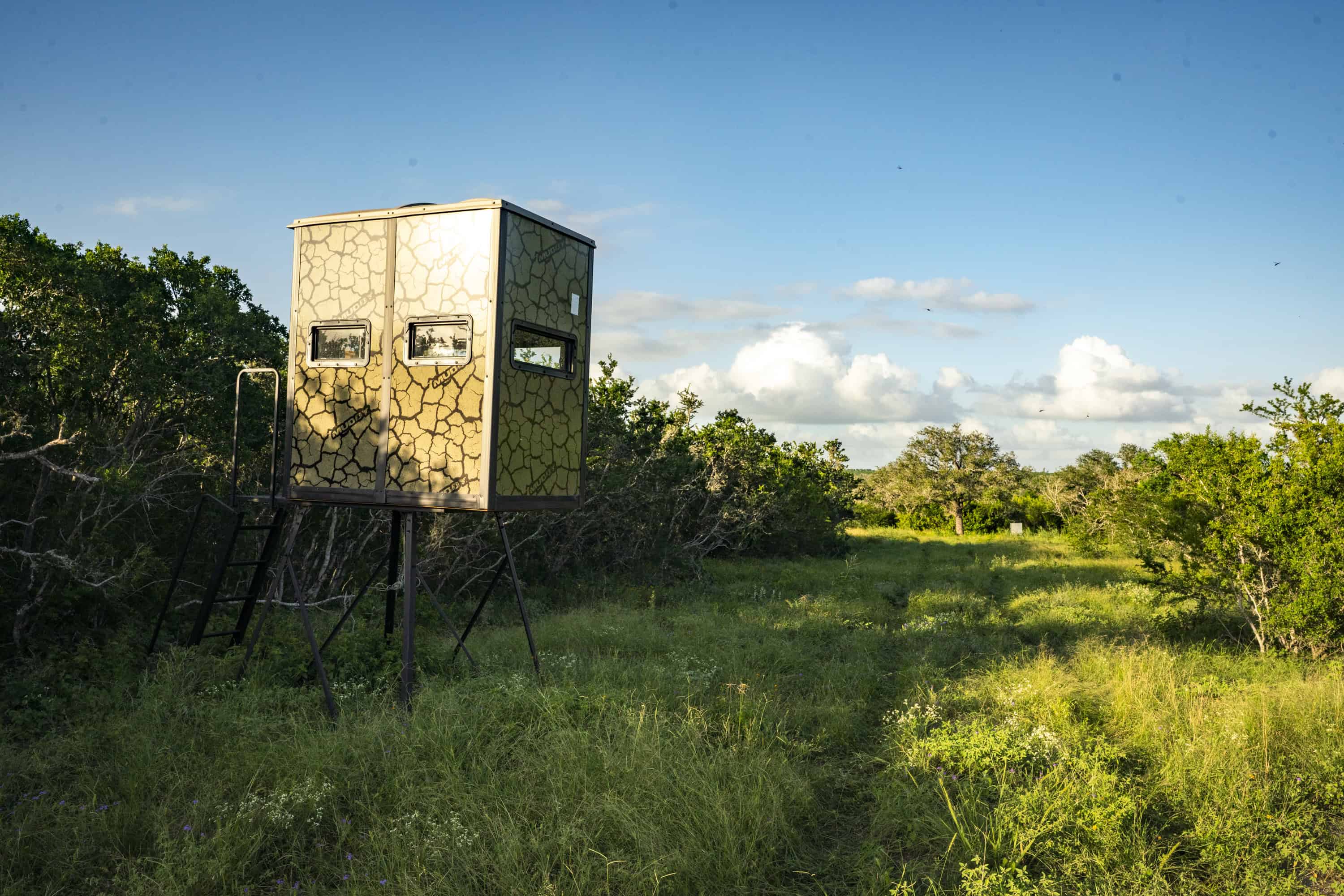 10255 Cr 113 Pettus TX 78146