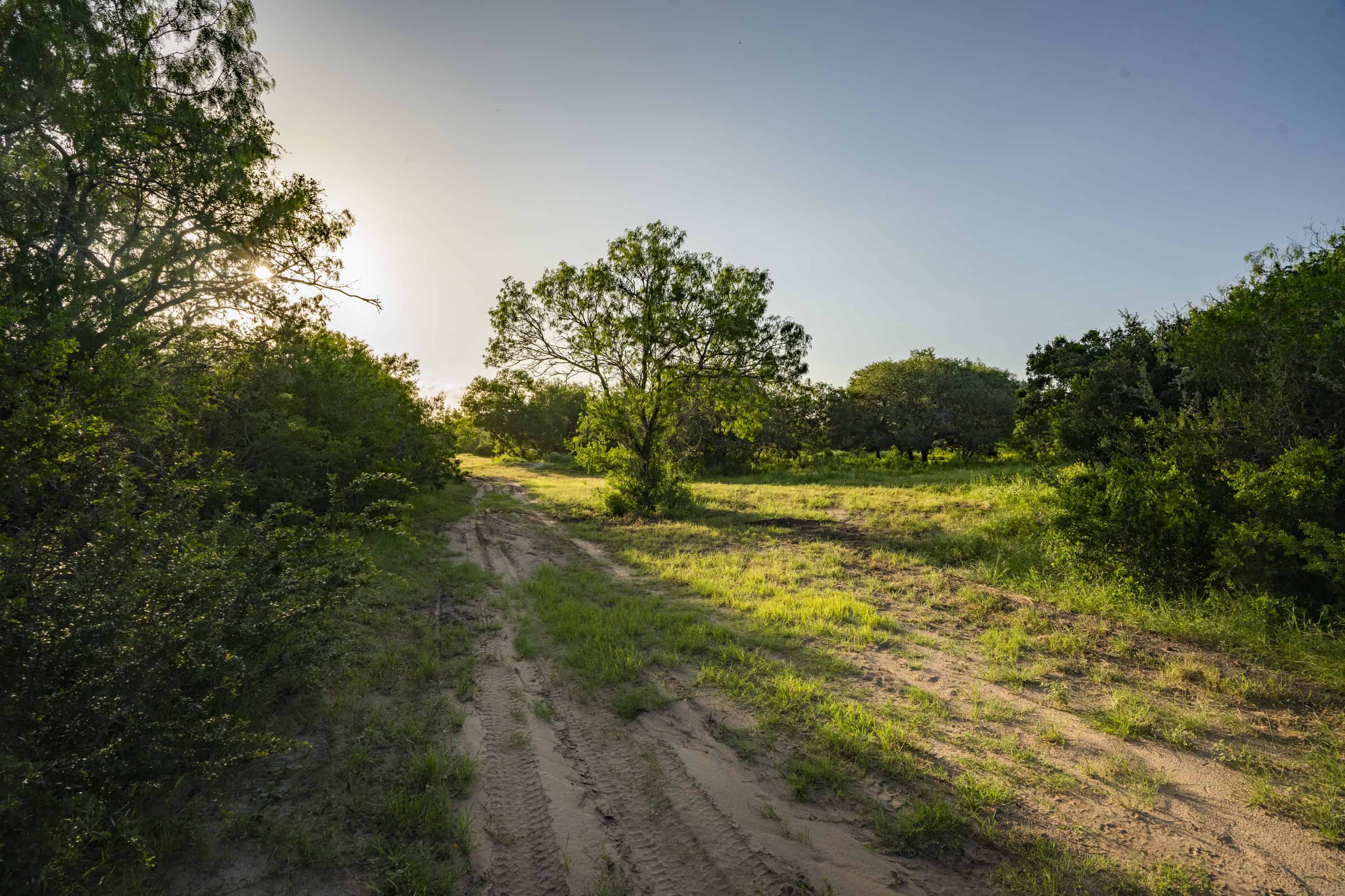 10255 Cr 113 Pettus TX 78146