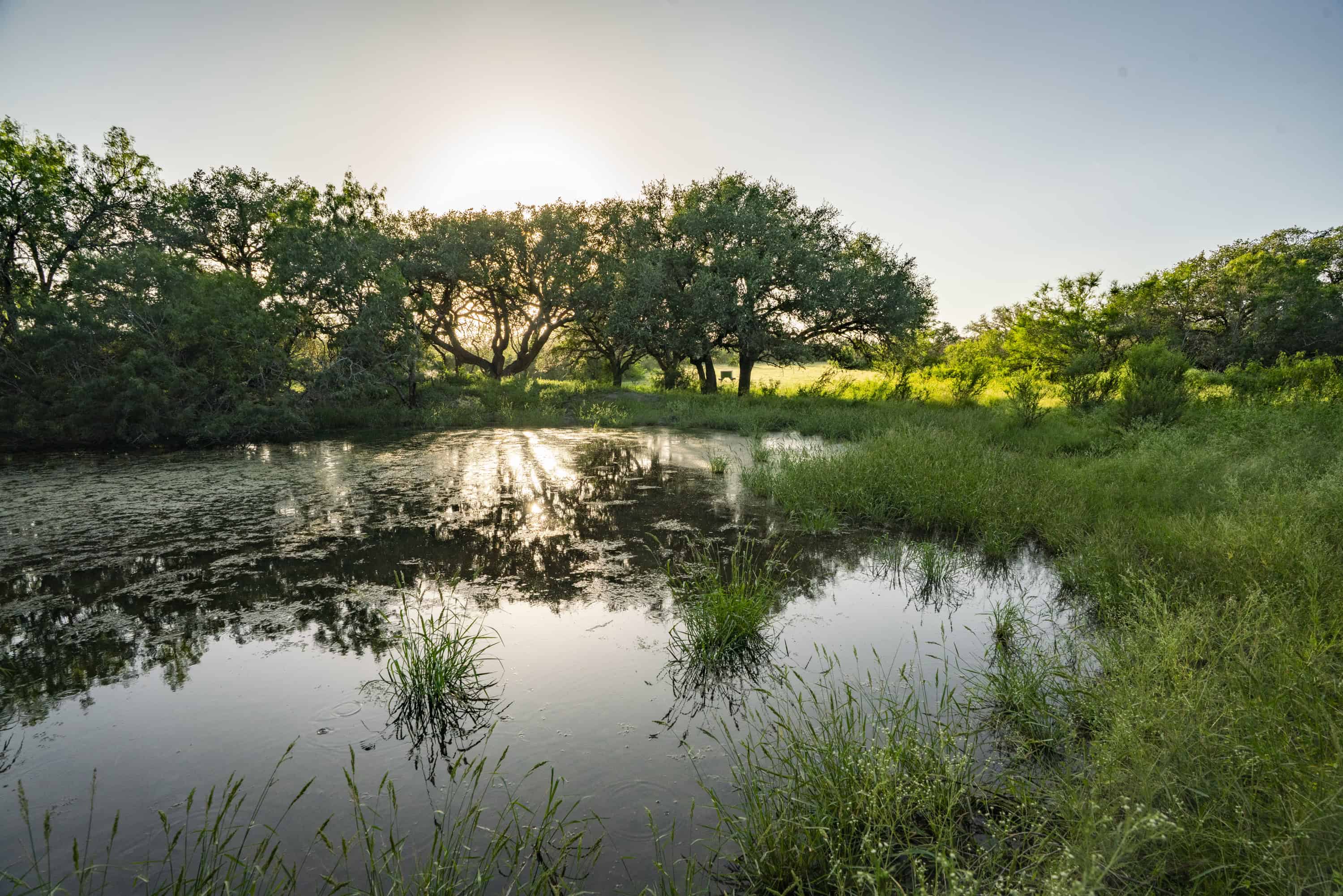 10255 Cr 113 Pettus TX 78146