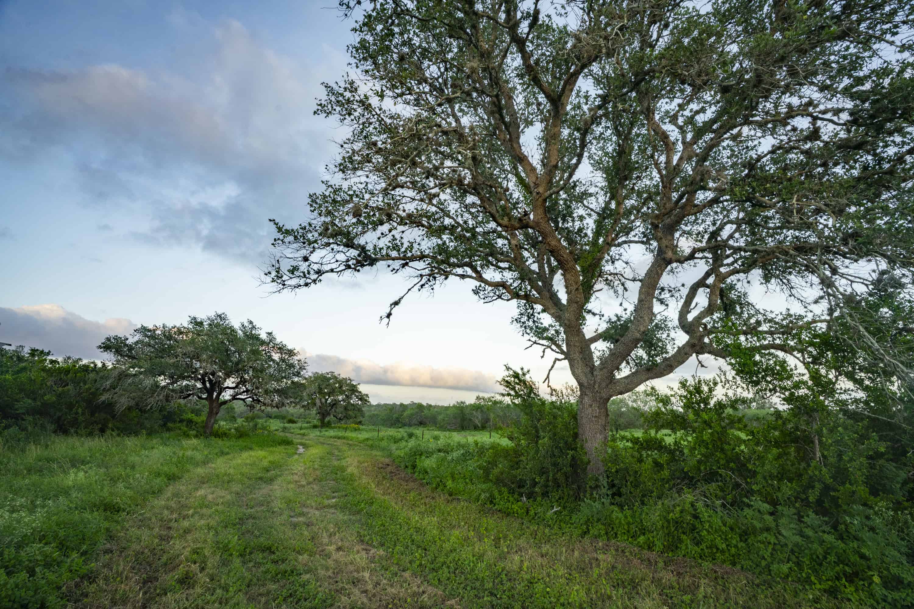 10255 Cr 113 Pettus TX 78146