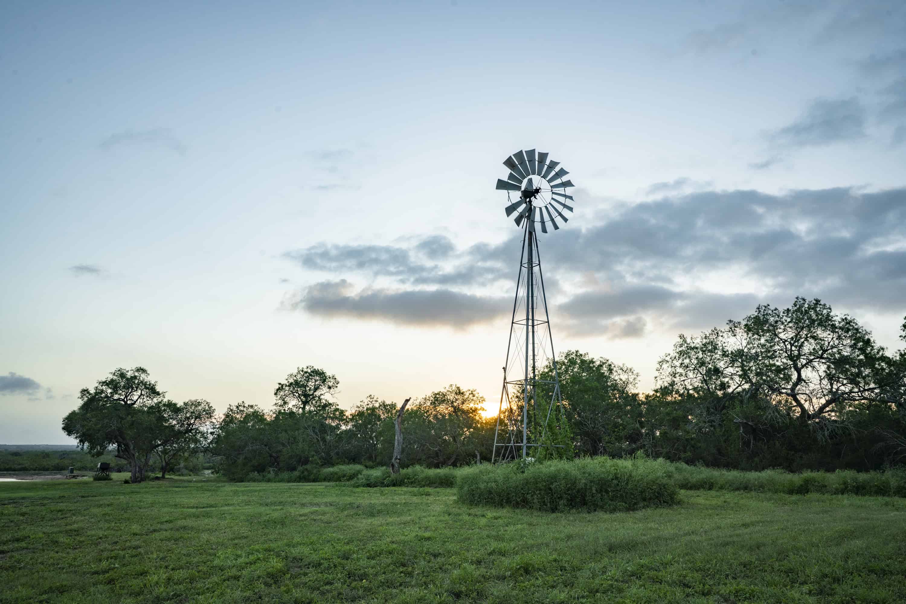10255 Cr 113 Pettus TX 78146