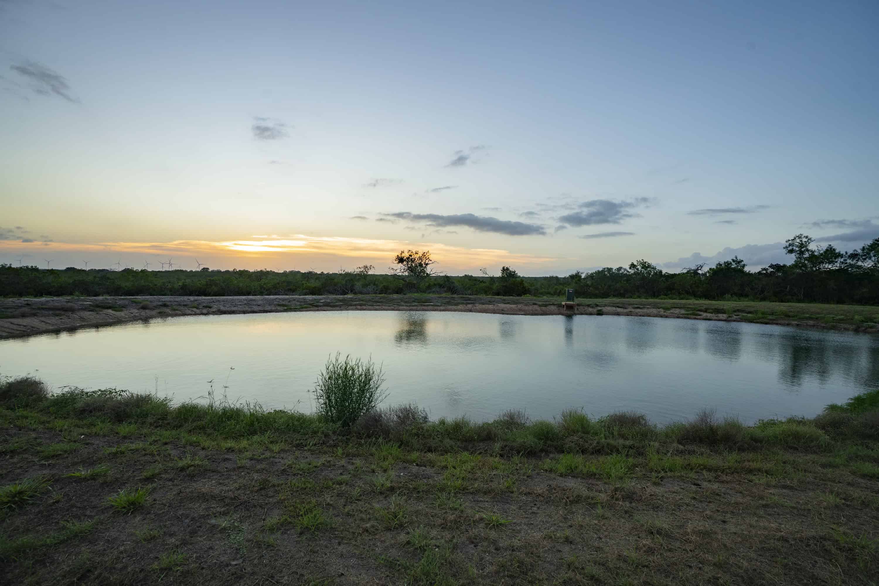 10255 Cr 113 Pettus TX 78146