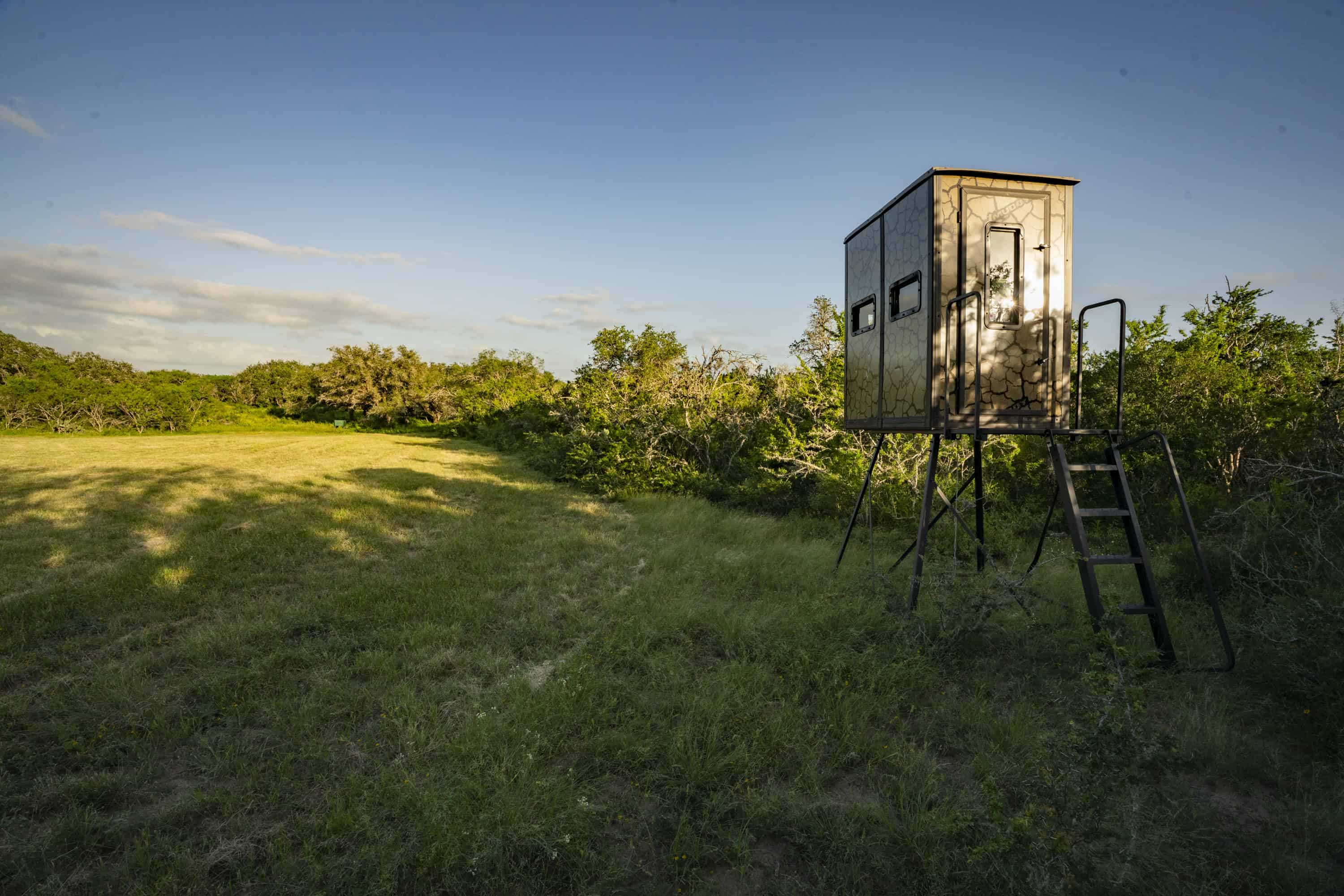 10255 Cr 113 Pettus TX 78146