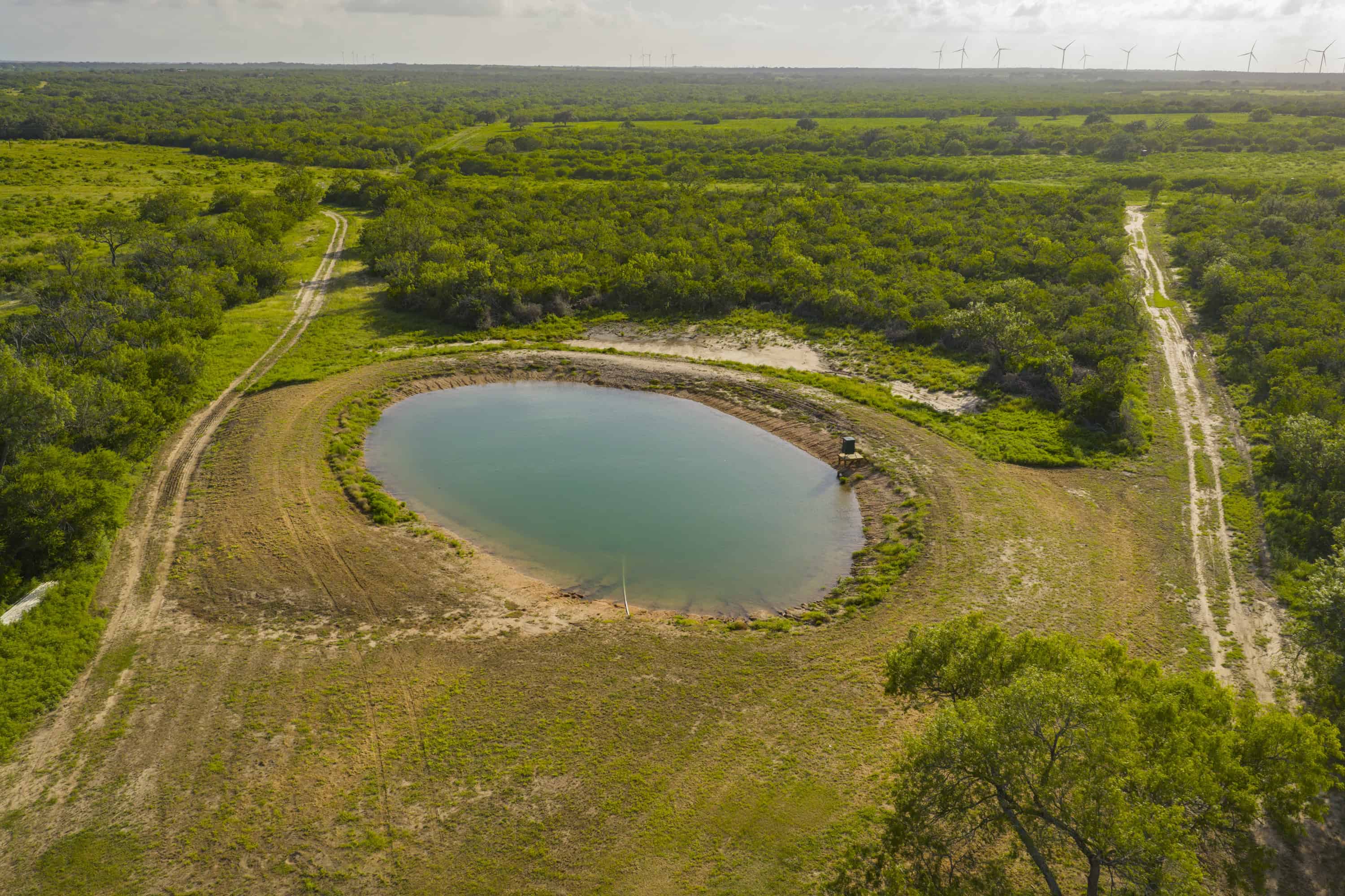 10255 Cr 113 Pettus TX 78146