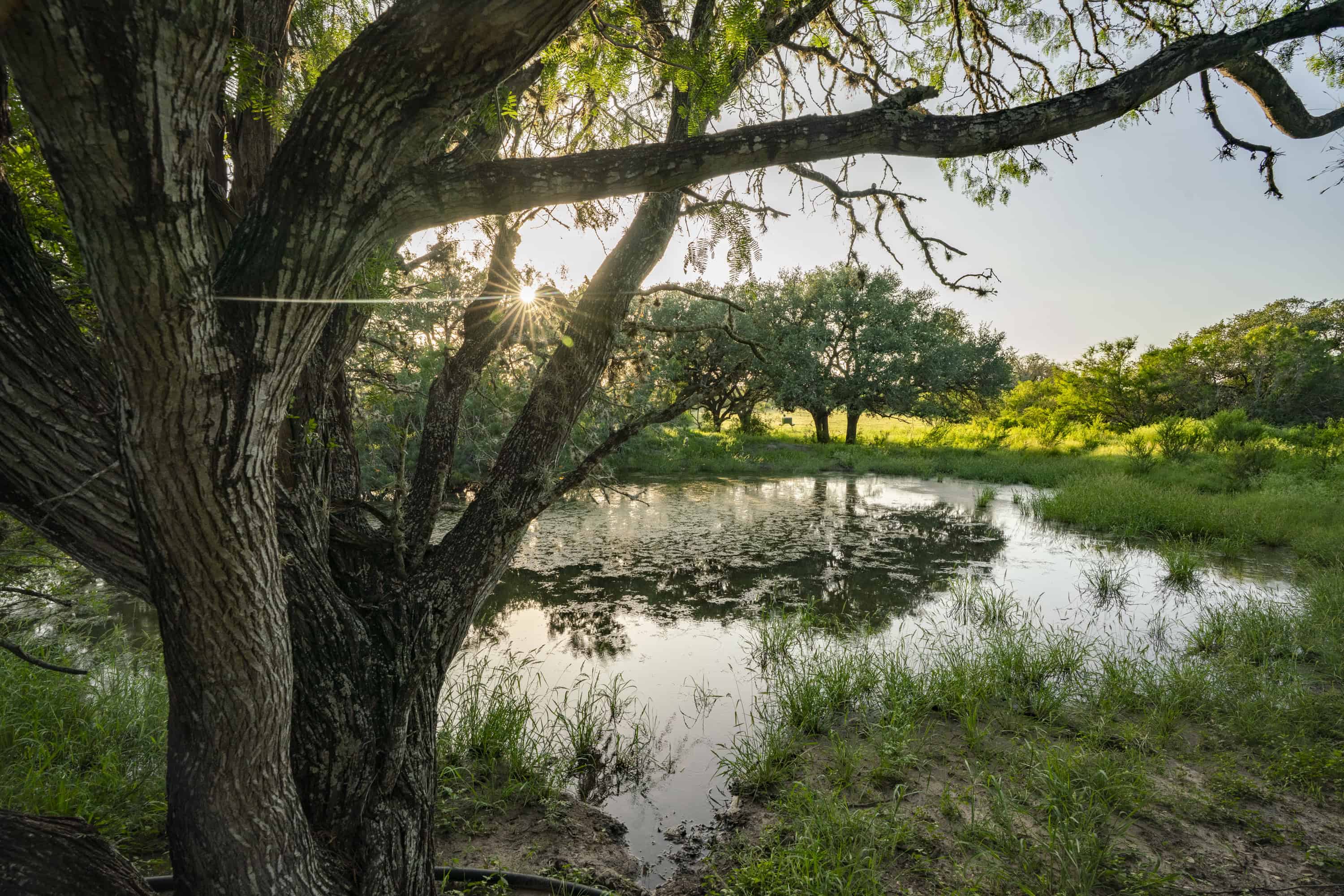 10255 Cr 113 Pettus TX 78146