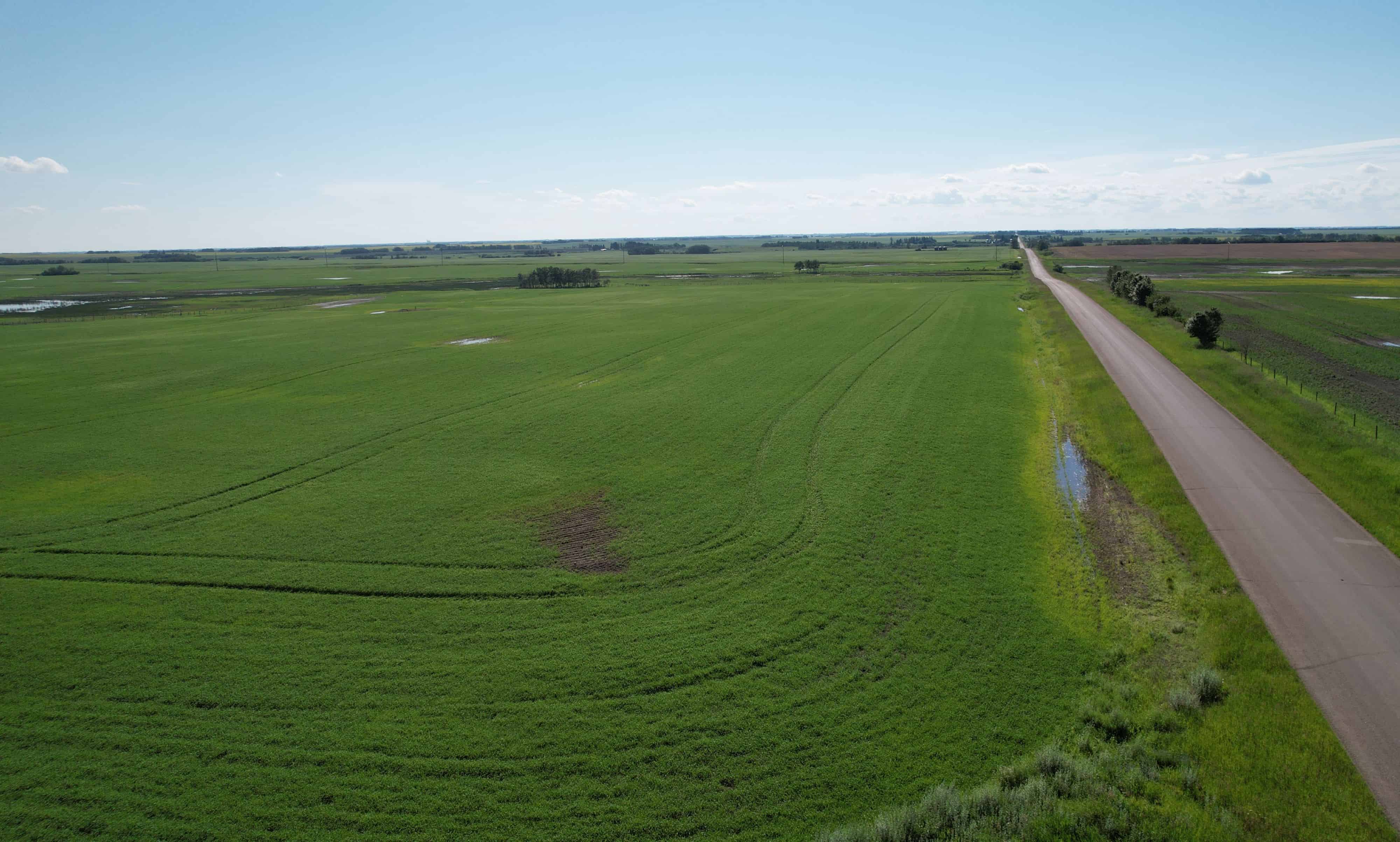 NW 36-53-14-w4 Rural Minburn AB T0B 4K0