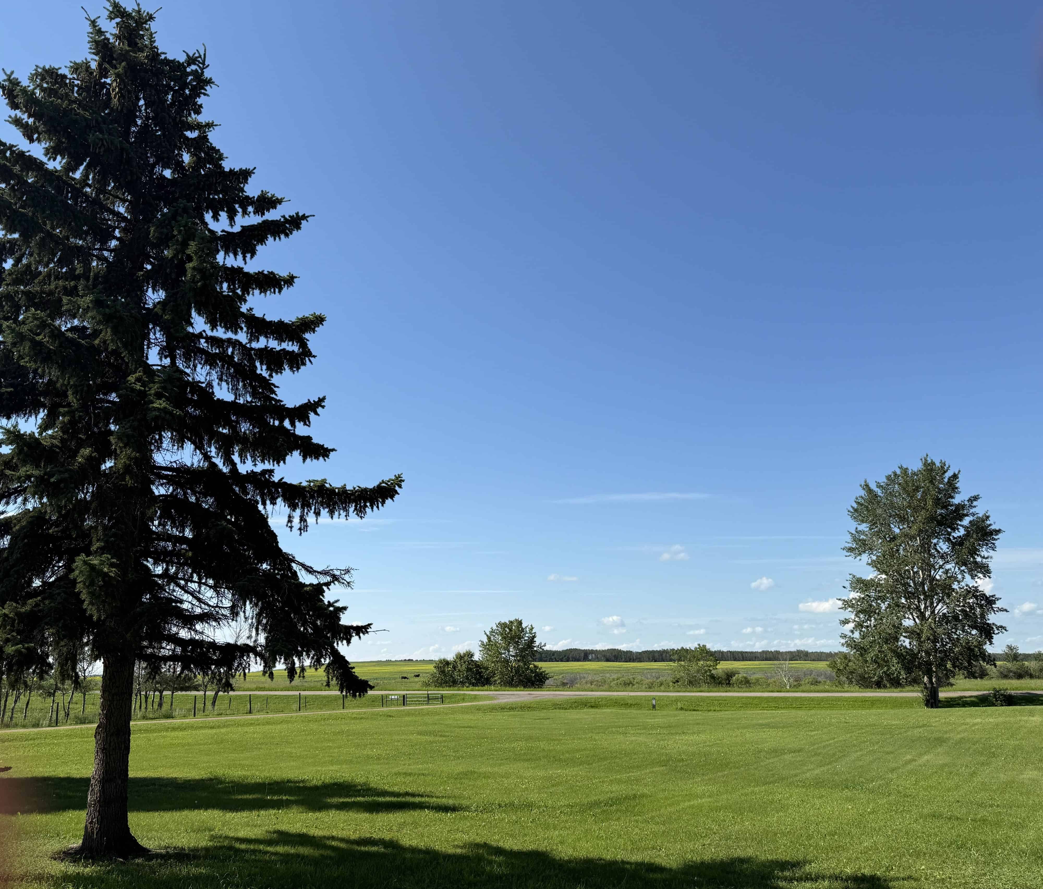 NW 36-53-14-w4 Rural Minburn AB T0B 4K0