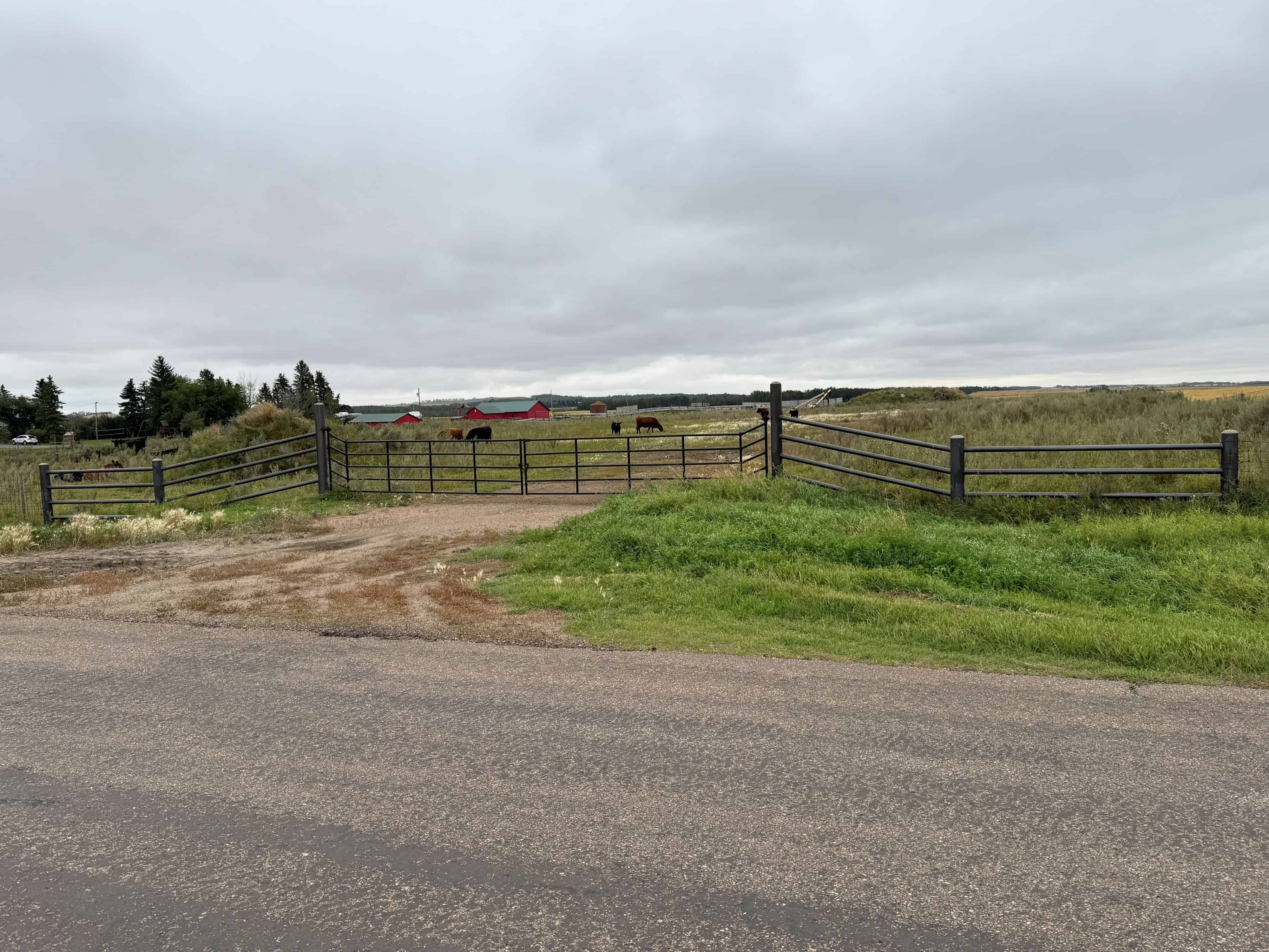 NW 36-53-14-w4 Rural Minburn AB T0B 4K0