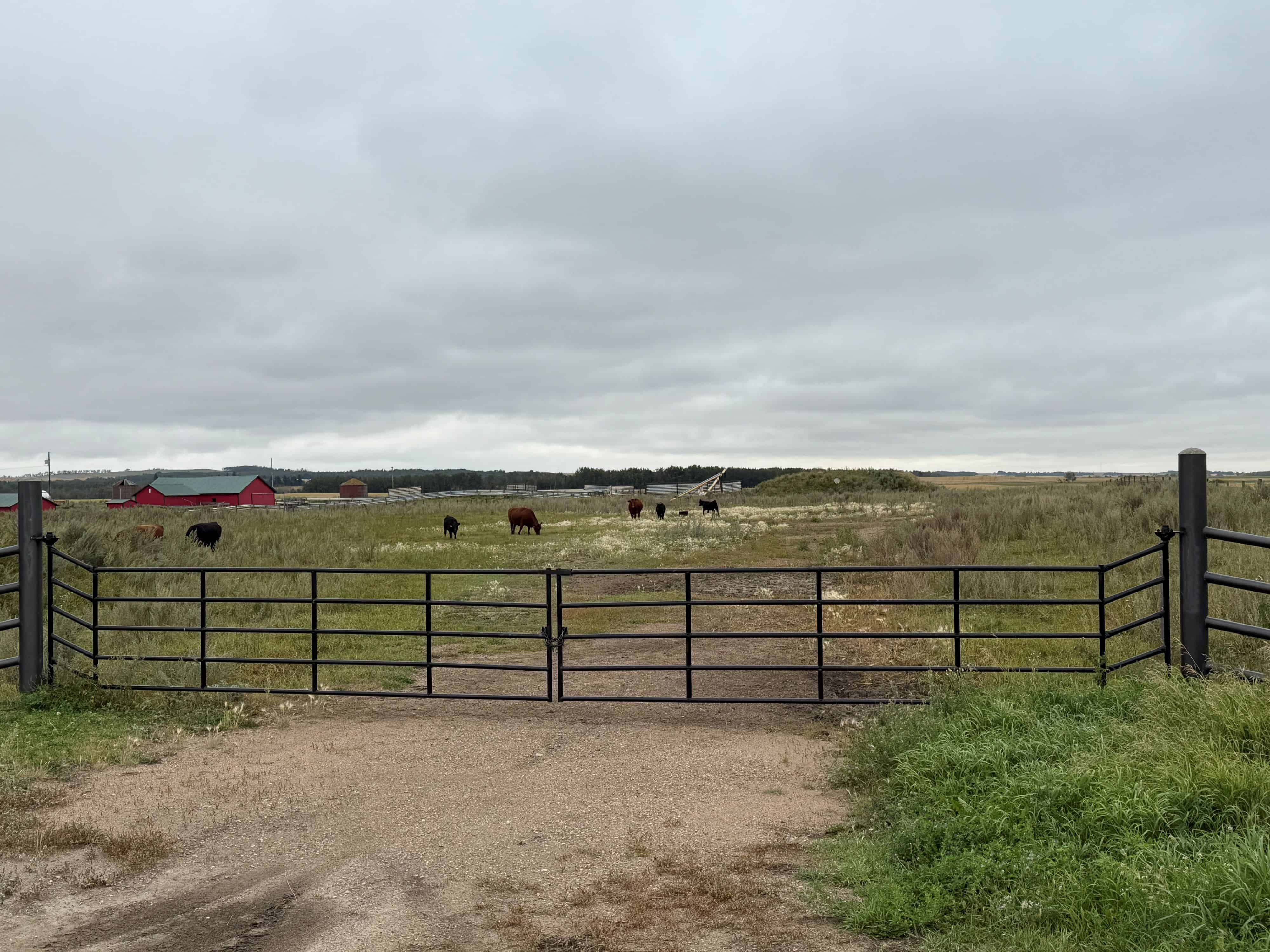 NW 36-53-14-w4 Rural Minburn AB T0B 4K0