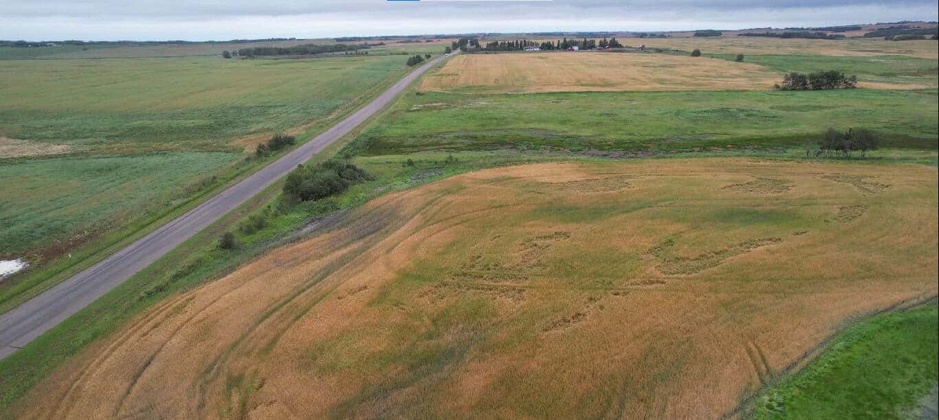 NW 36-53-14-w4 Rural Minburn AB T0B 4K0