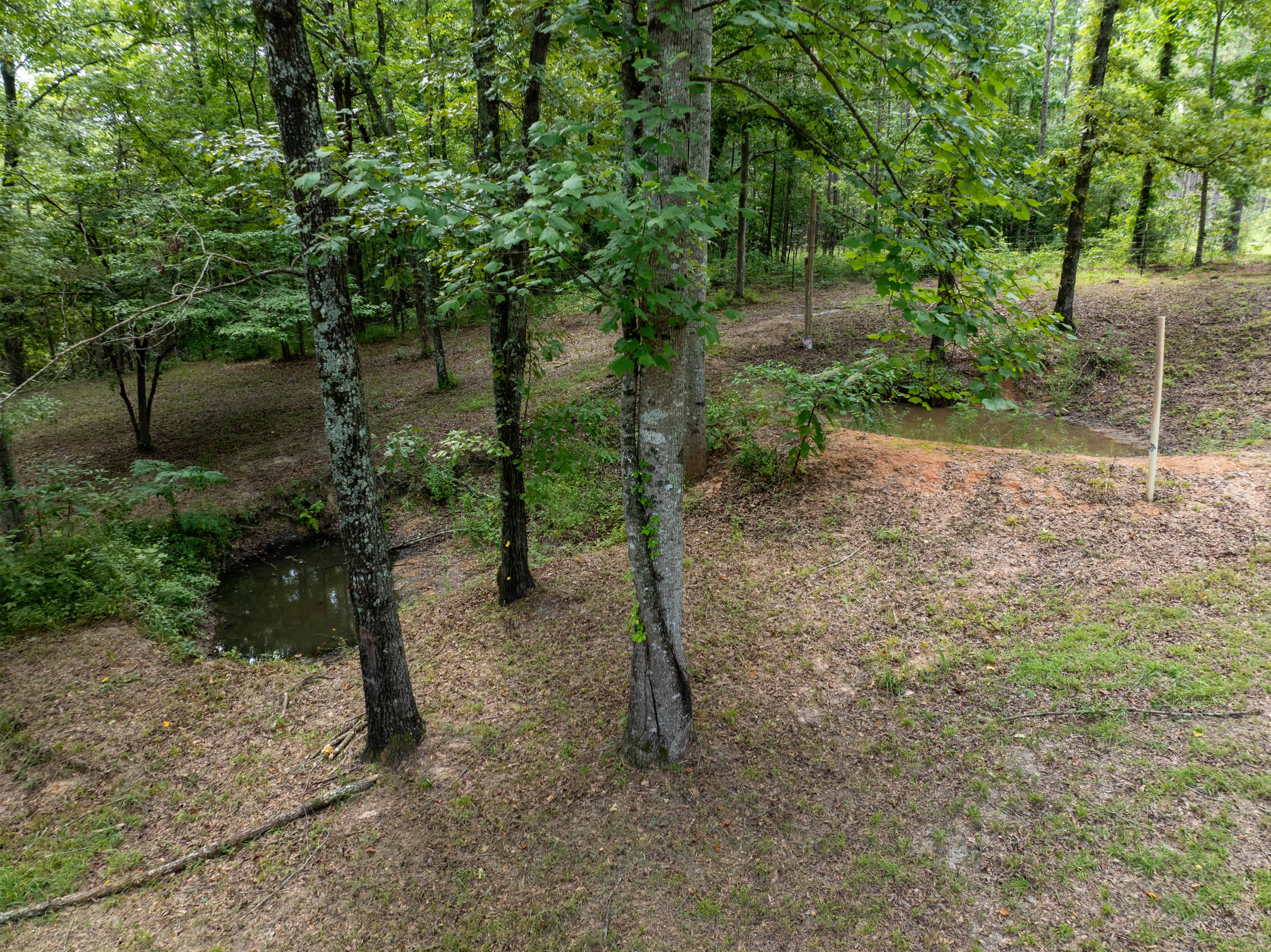 1661 Antioch Church Road Midway AL 36053