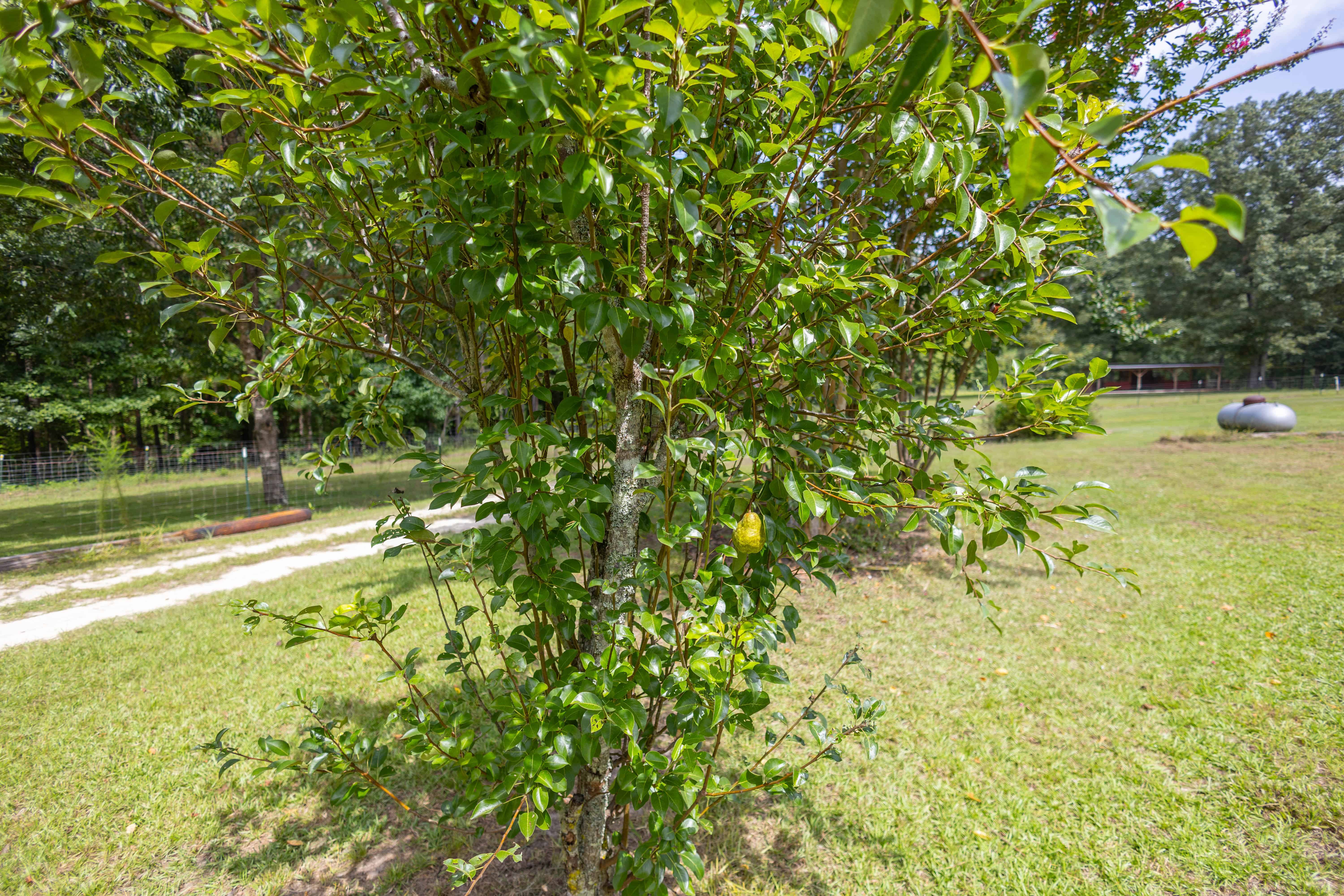 1661 Antioch Church Road Midway AL 36053