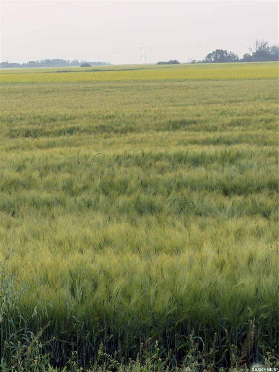 S 1/2 Of NW 14 40 5 W3 Warman SK S0K 4R0