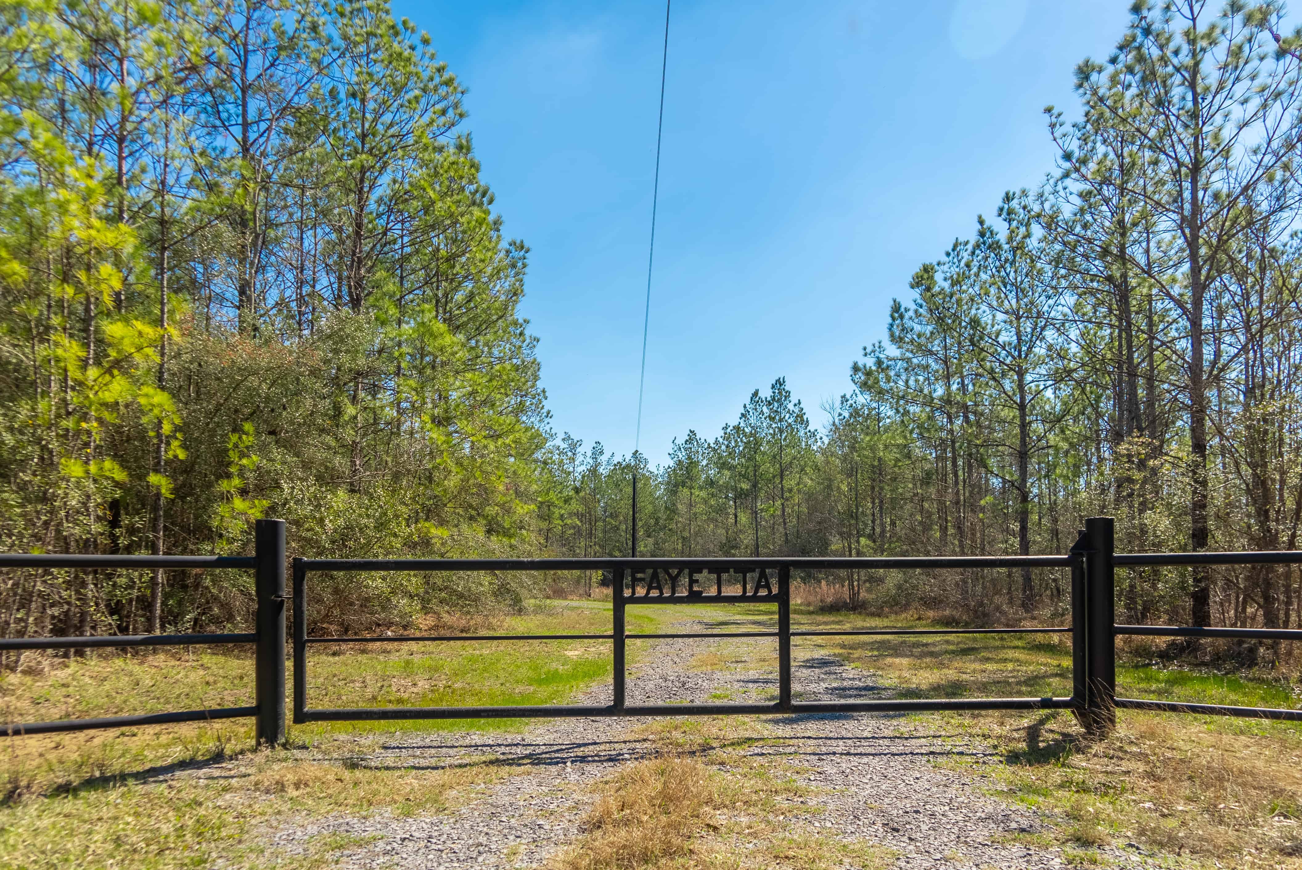 Serene 250Acre Ranch for Sale in Buna, Texas Buna Ranch
