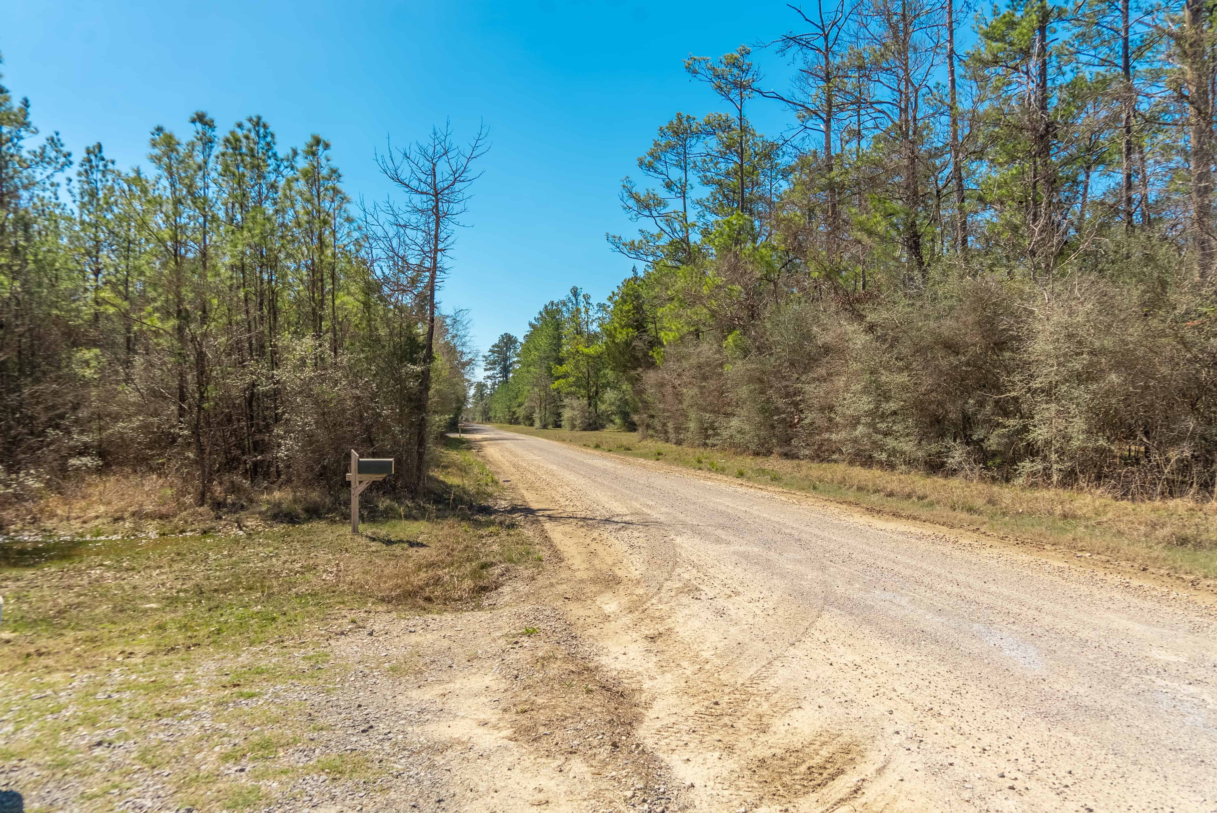 Serene 250Acre Ranch for Sale in Buna, Texas Buna Ranch