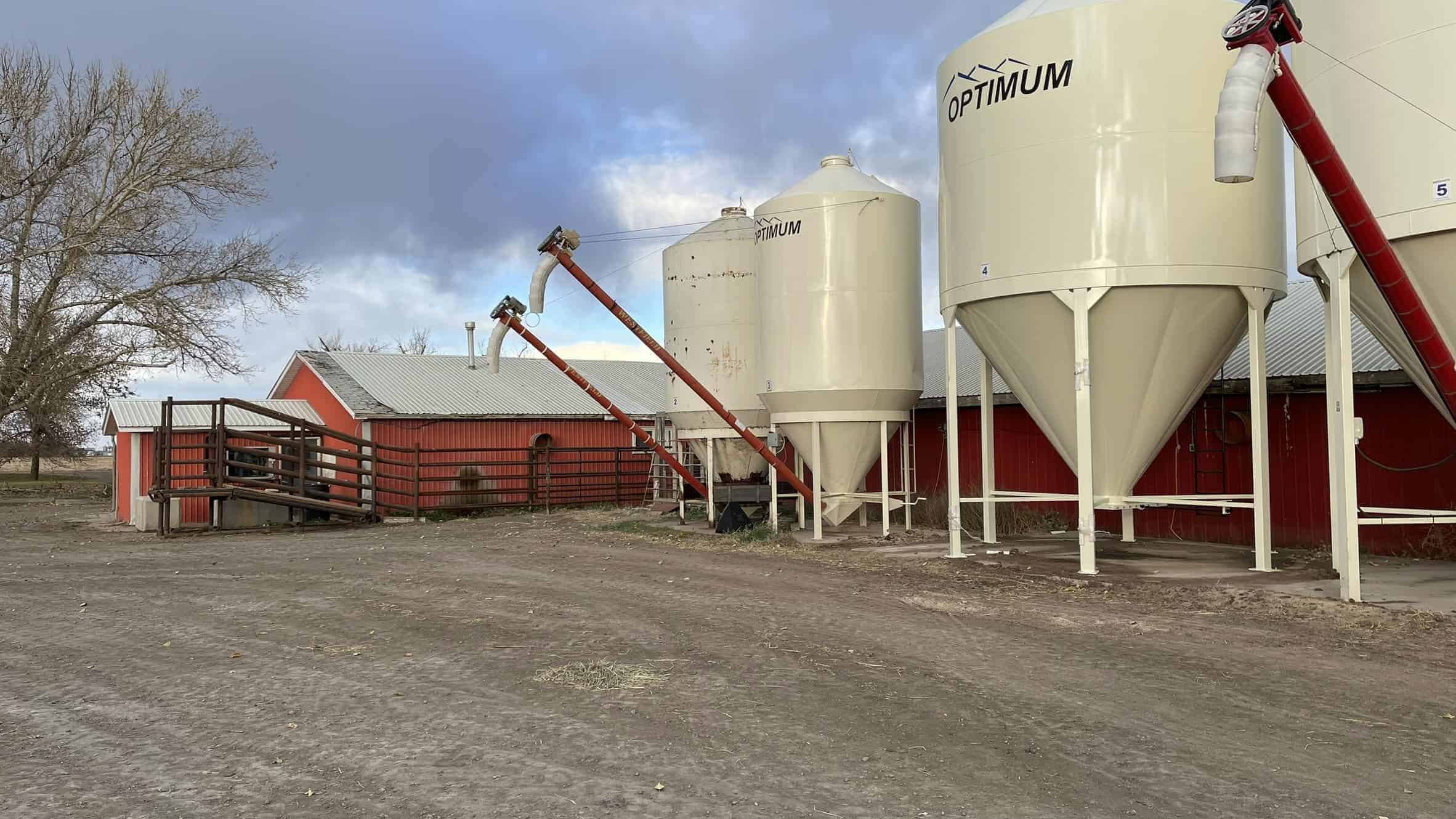 205079 Township Road 112 Picture Butte AB T0K 1V0