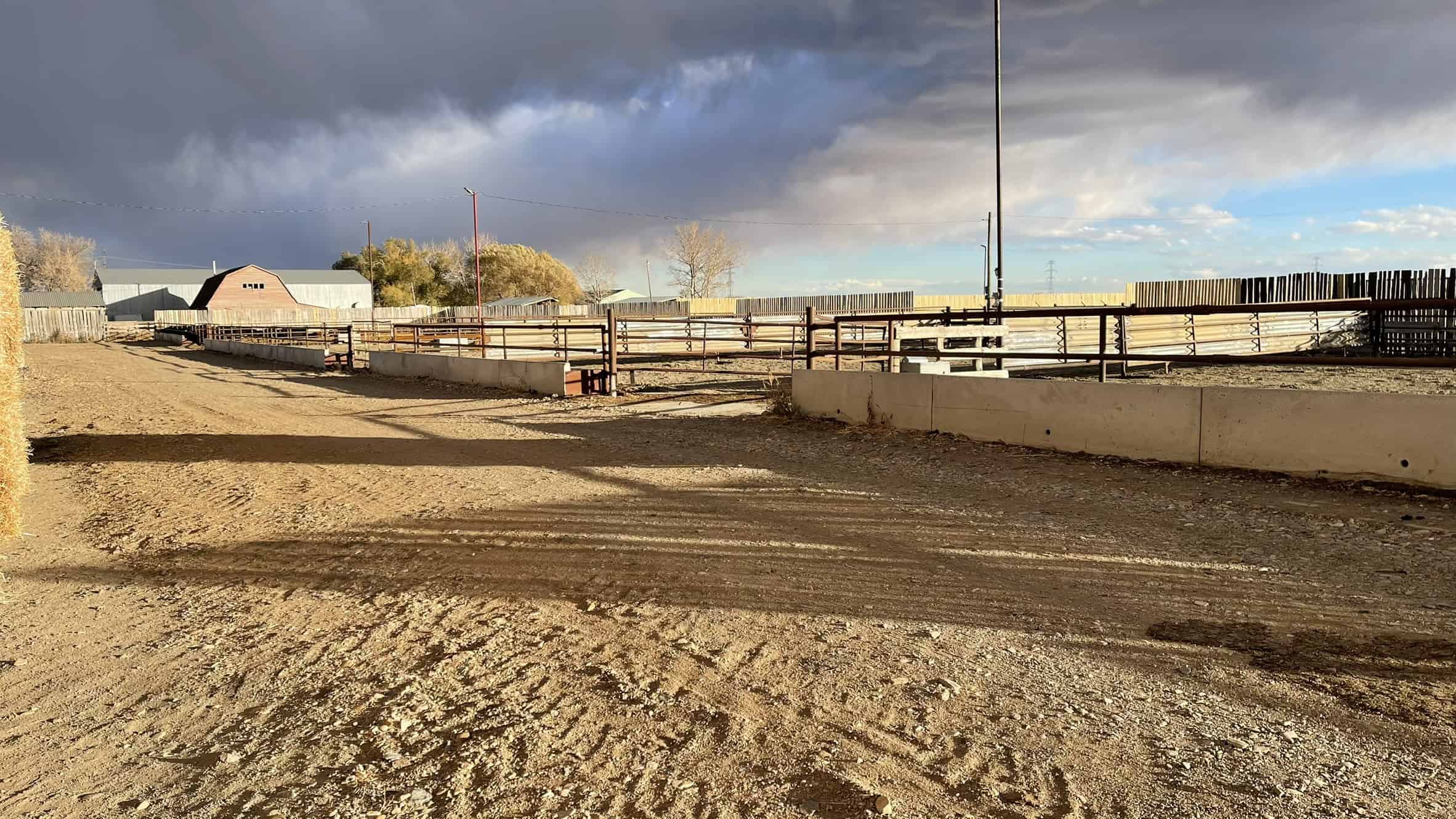 205079 Township Road 112 Picture Butte AB T0K 1V0