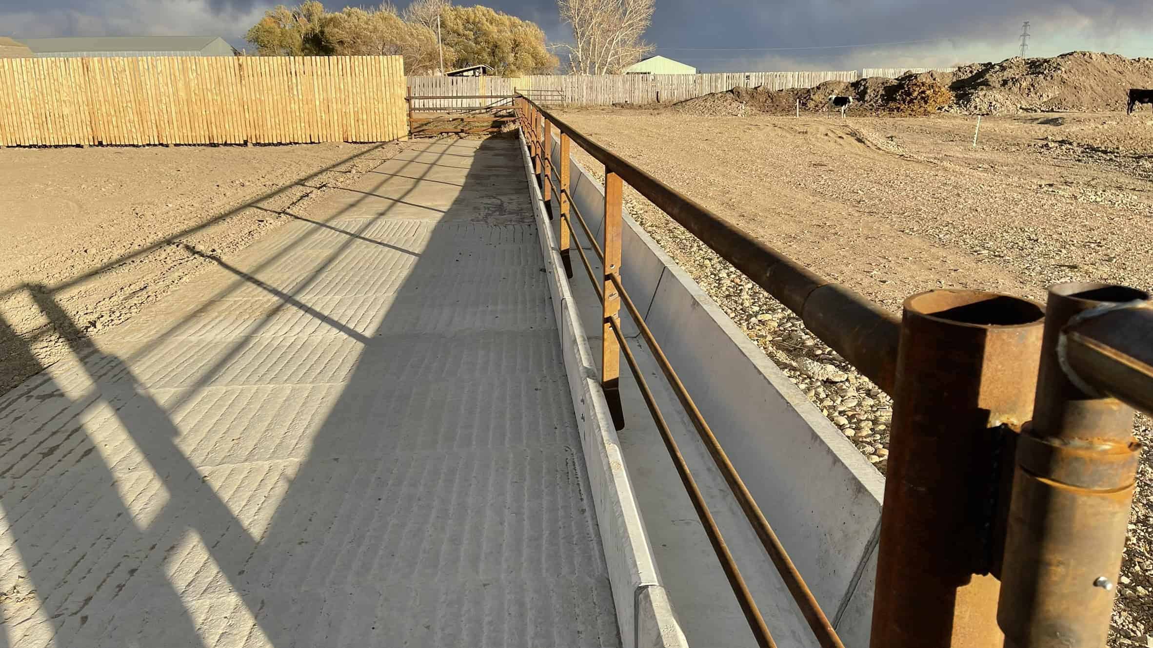 205079 Township Road 112 Picture Butte AB T0K 1V0