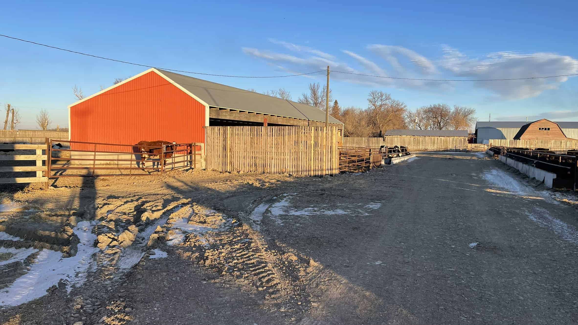 205079 Township Road 112 Picture Butte AB T0K 1V0
