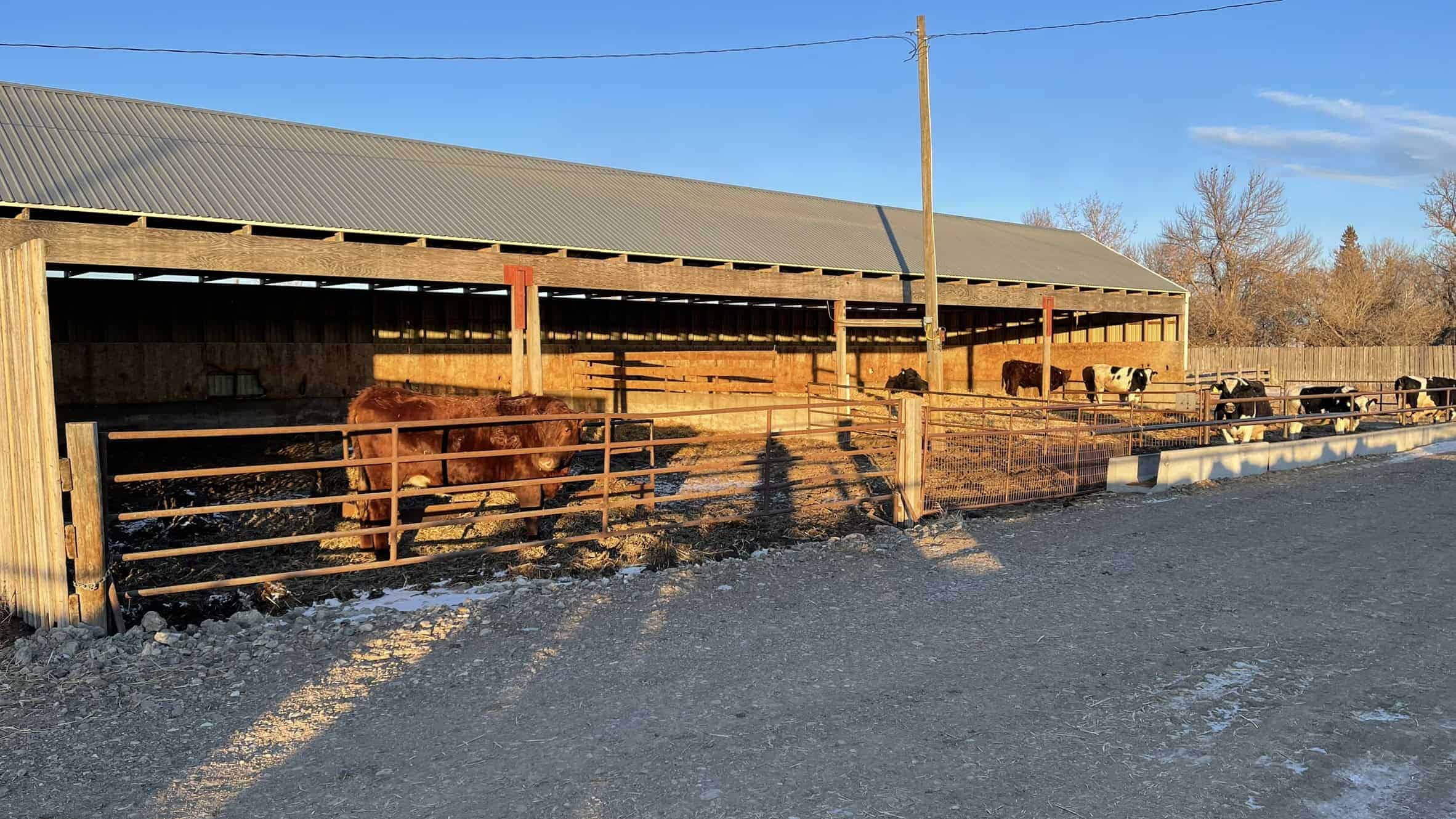 205079 Township Road 112 Picture Butte AB T0K 1V0
