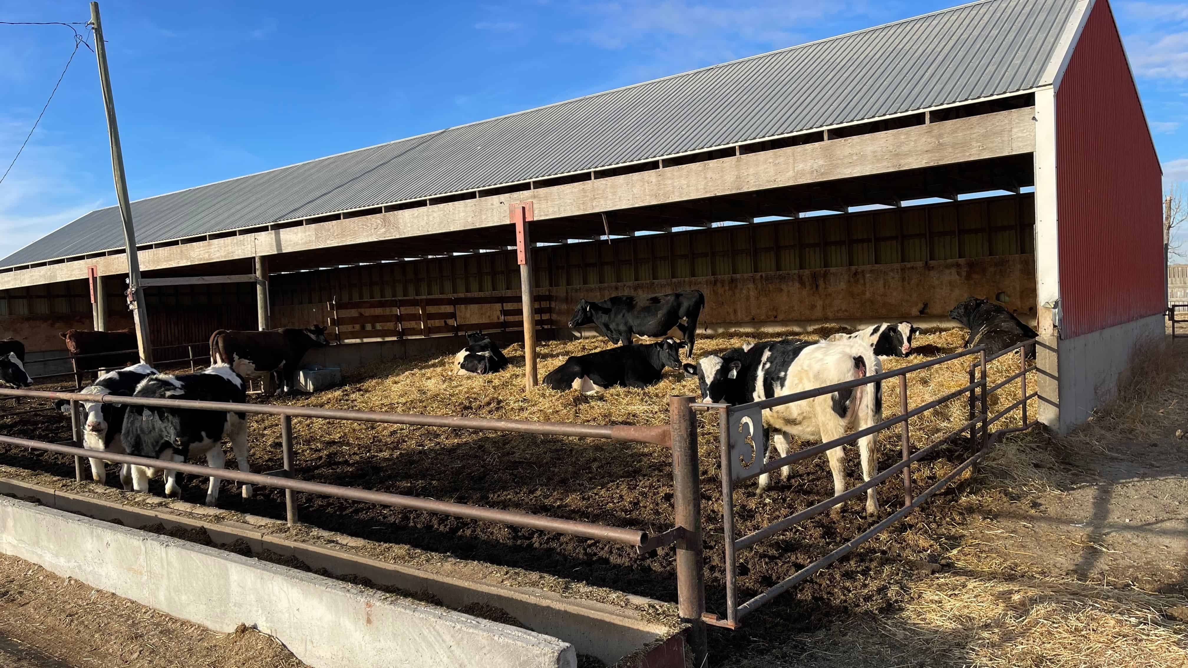 205079 Township Road 112 Picture Butte AB T0K 1V0