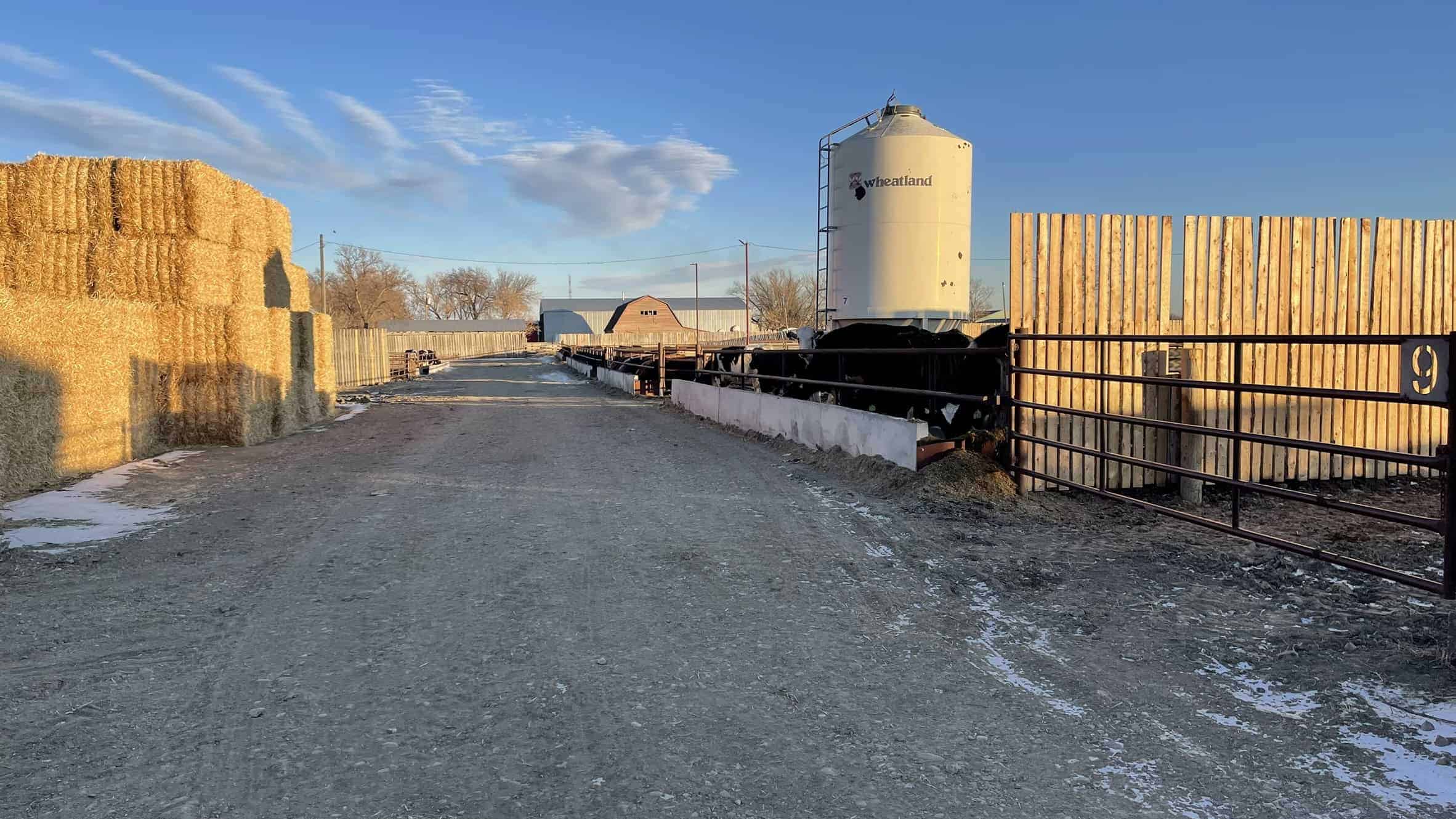 205079 Township Road 112 Picture Butte AB T0K 1V0