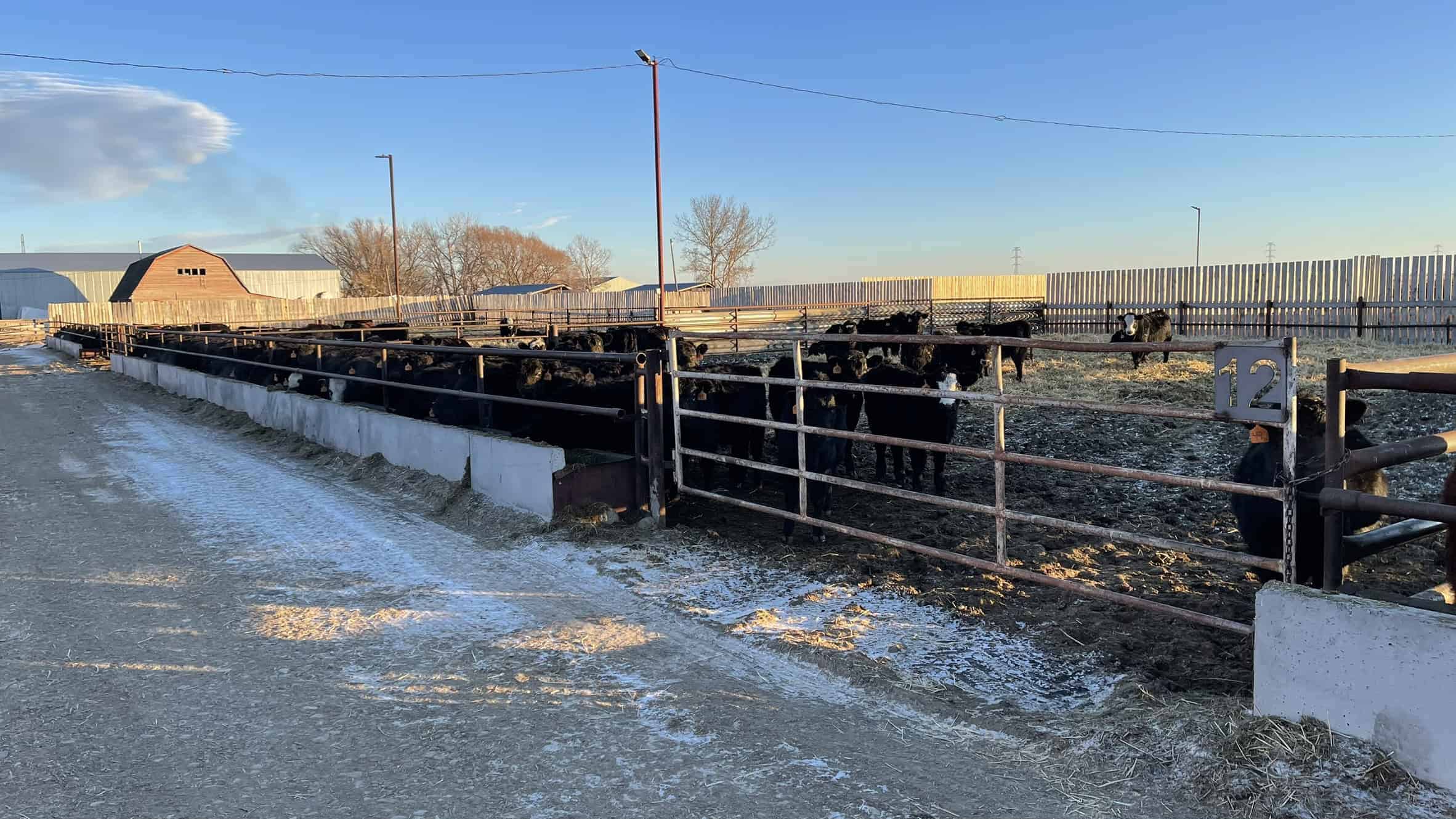 205079 Township Road 112 Picture Butte AB T0K 1V0