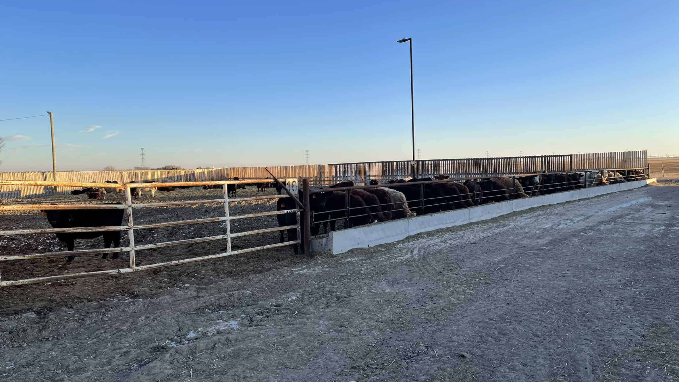 205079 Township Road 112 Picture Butte AB T0K 1V0