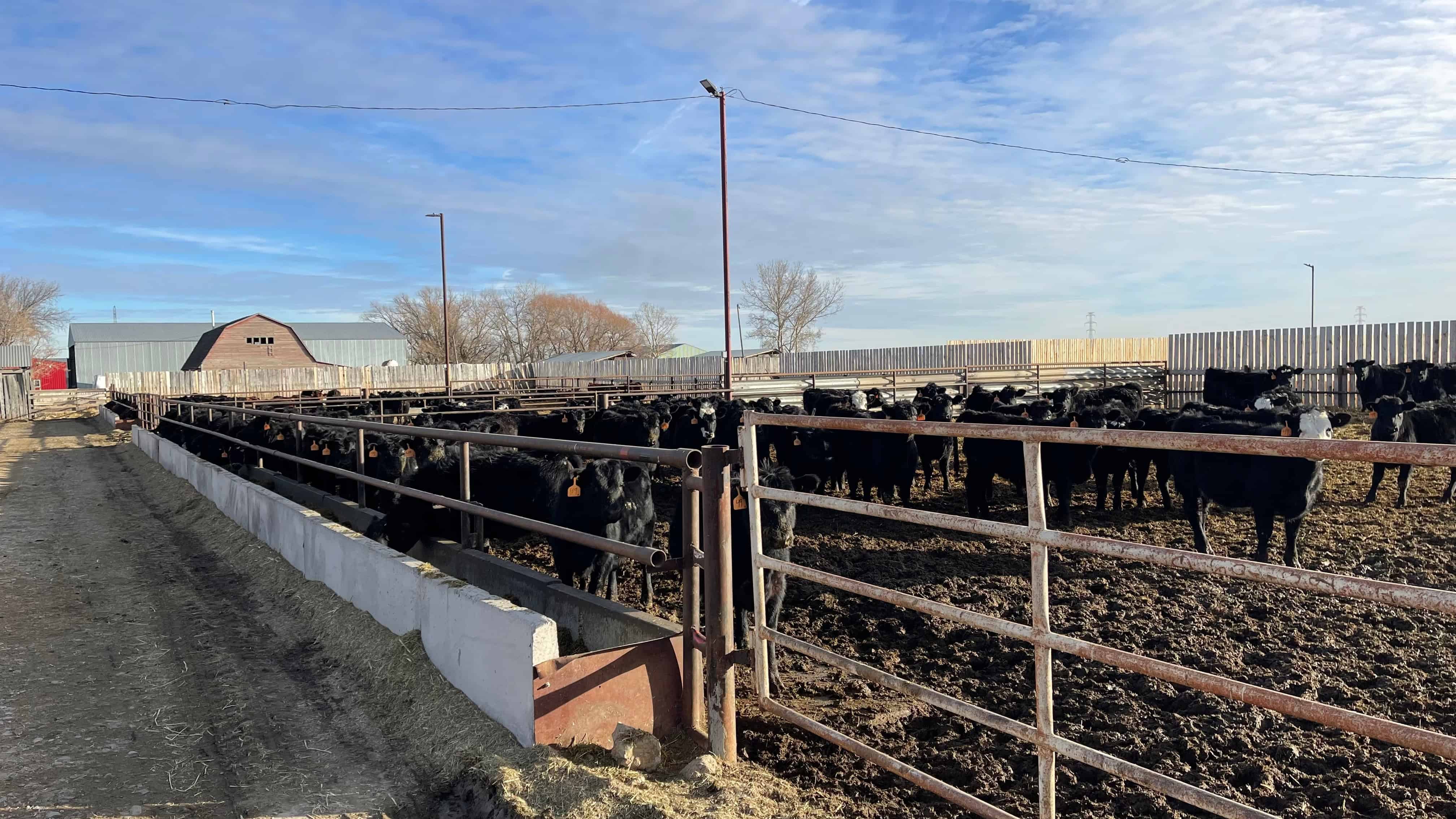 205079 Township Road 112 Picture Butte AB T0K 1V0