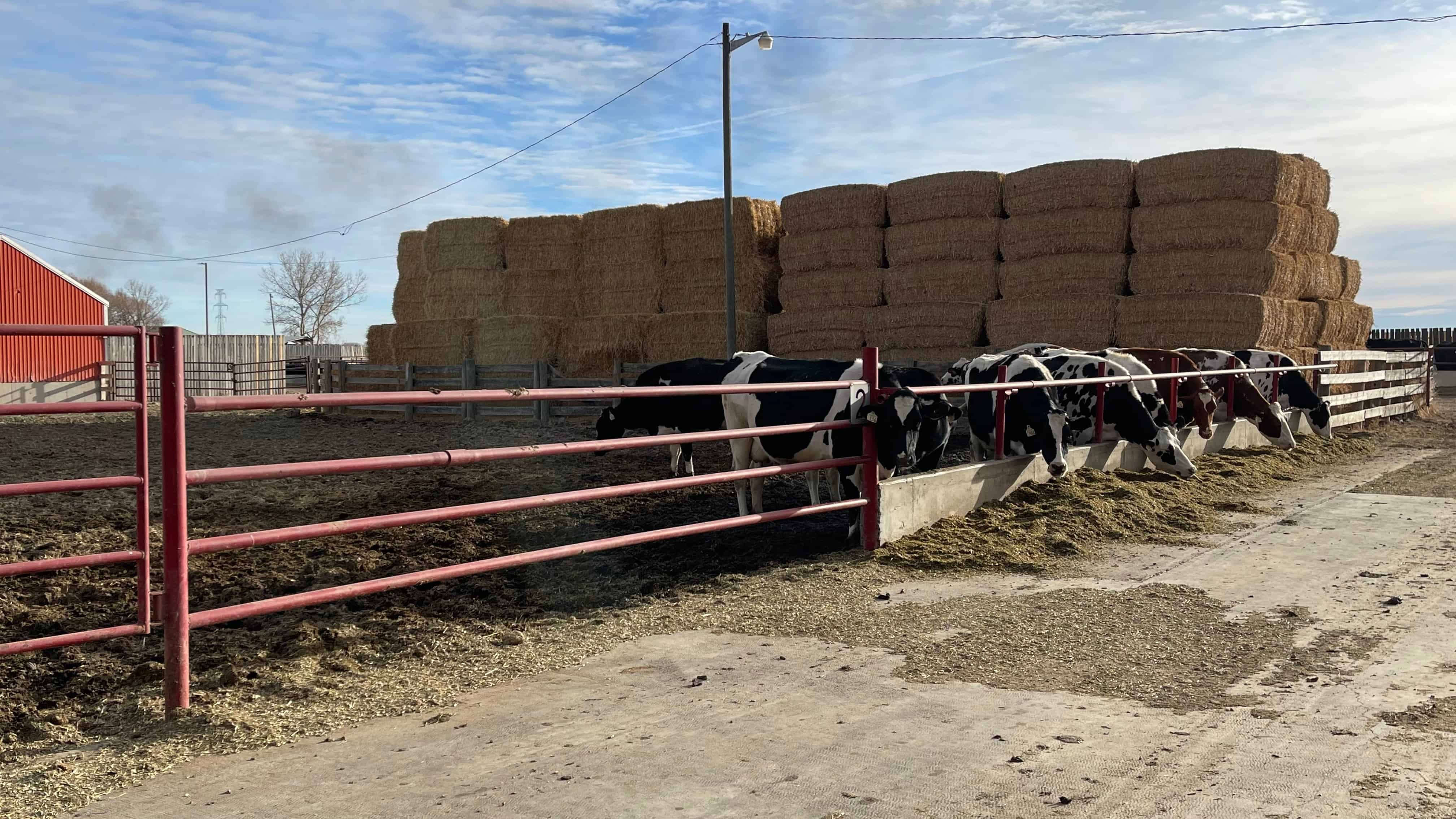205079 Township Road 112 Picture Butte AB T0K 1V0