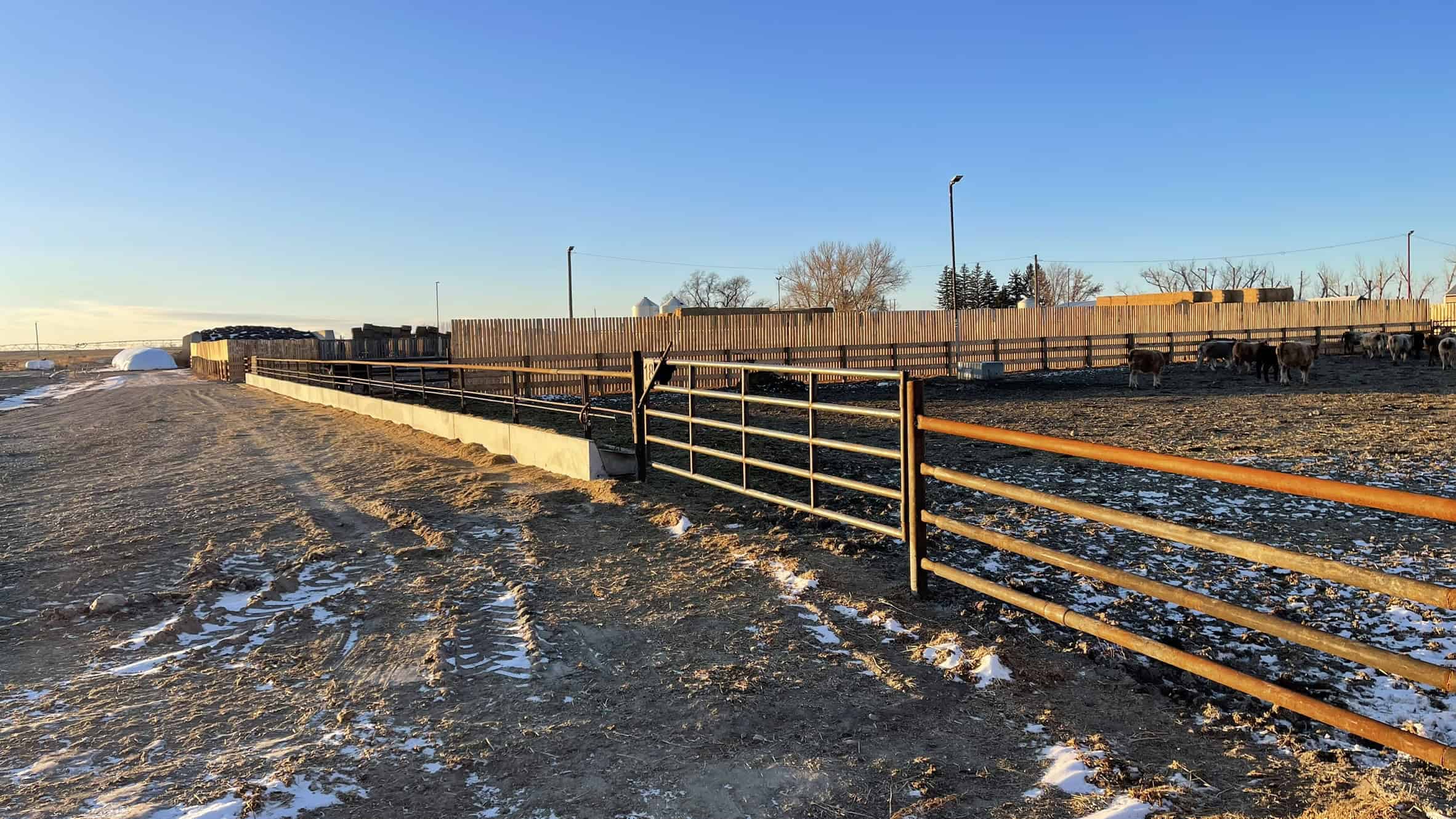 205079 Township Road 112 Picture Butte AB T0K 1V0