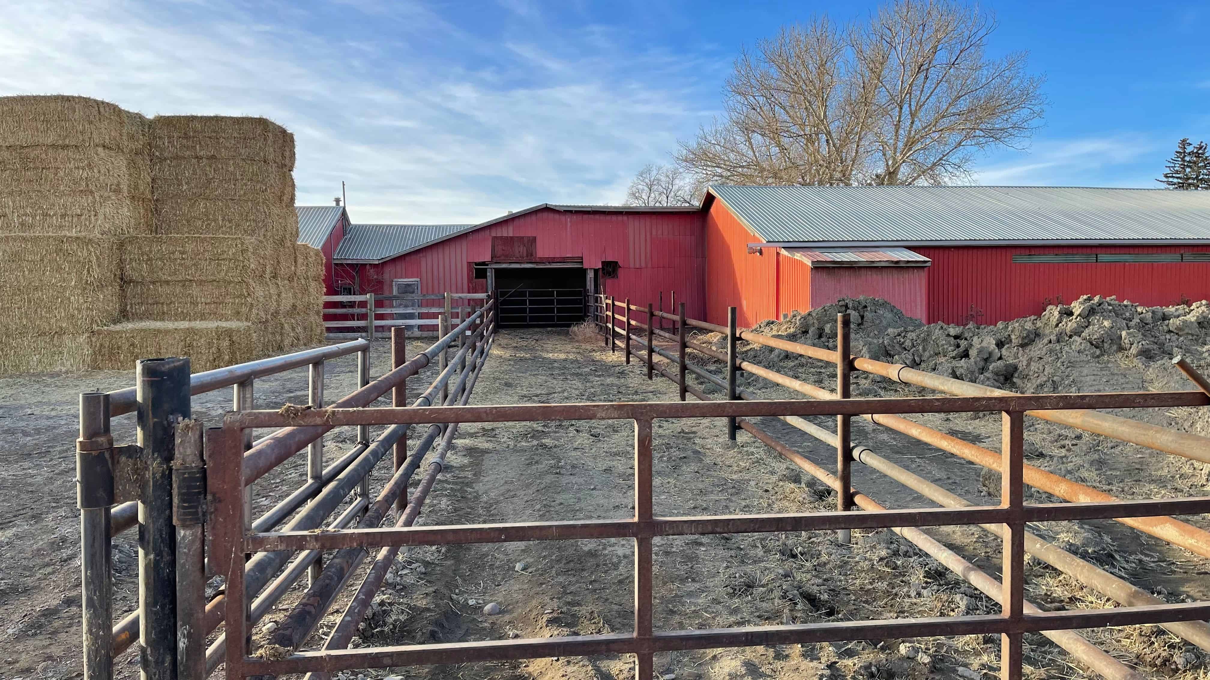 205079 Township Road 112 Picture Butte AB T0K 1V0