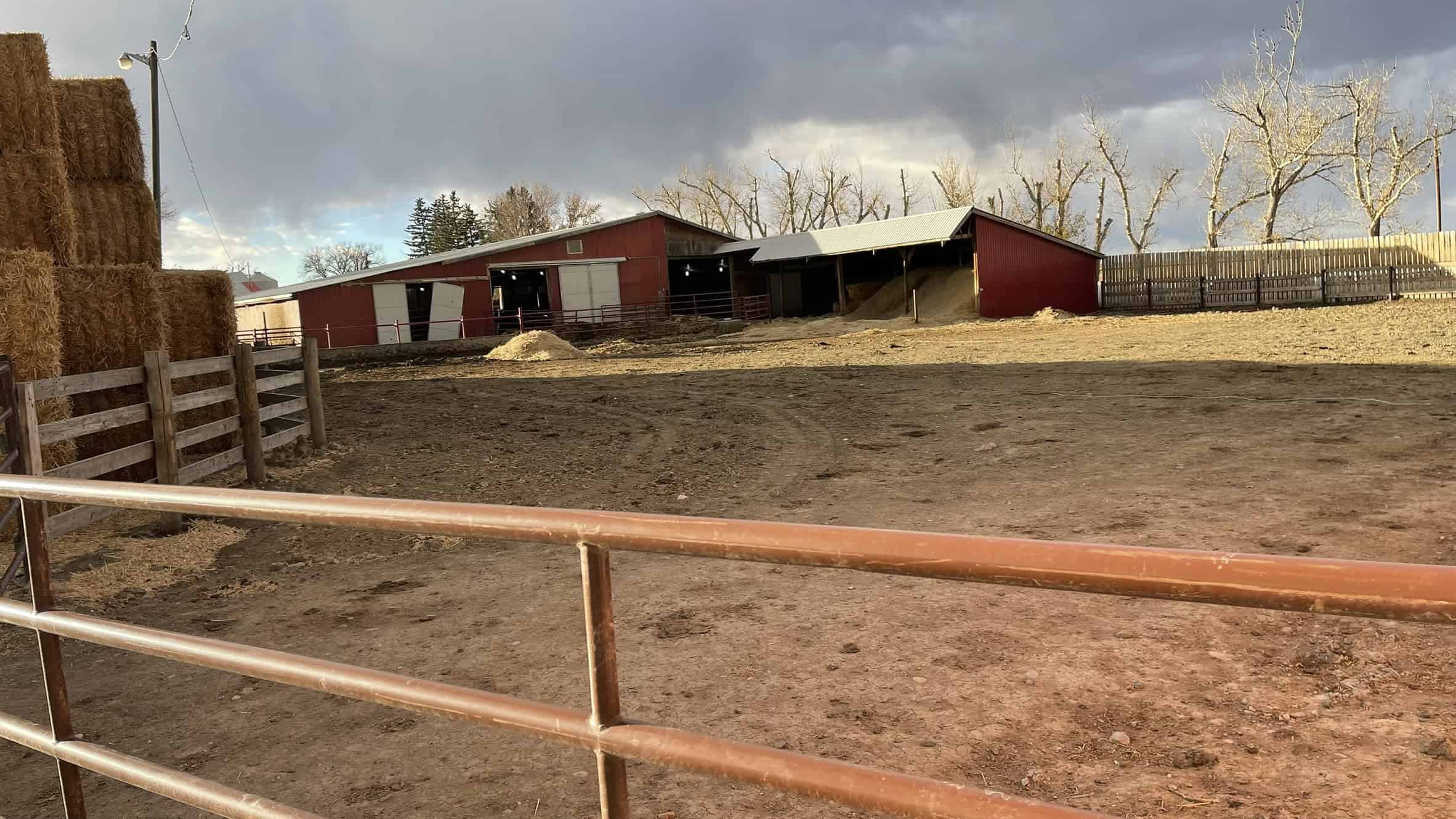 205079 Township Road 112 Picture Butte AB T0K 1V0