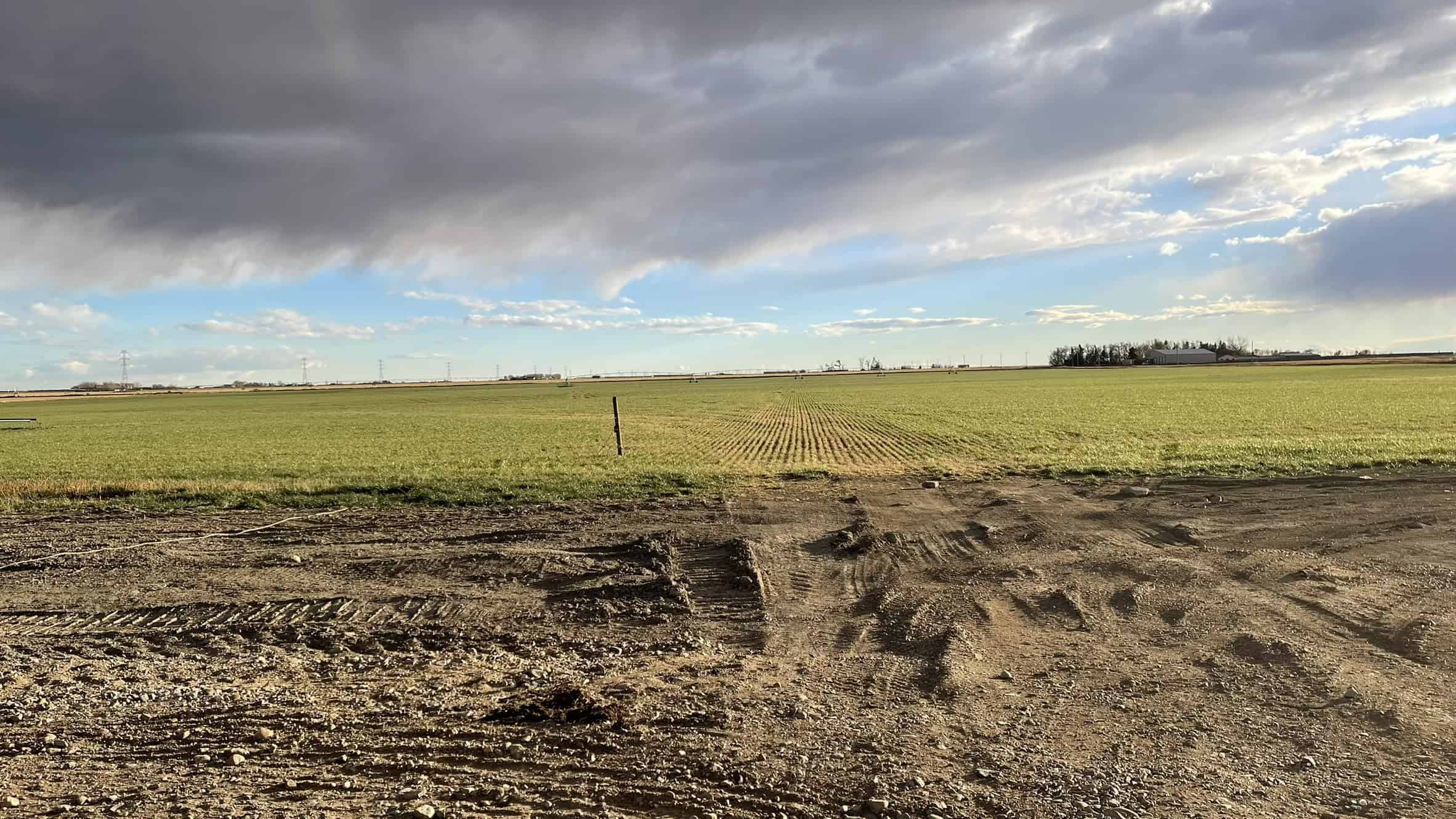 205079 Township Road 112 Picture Butte AB T0K 1V0