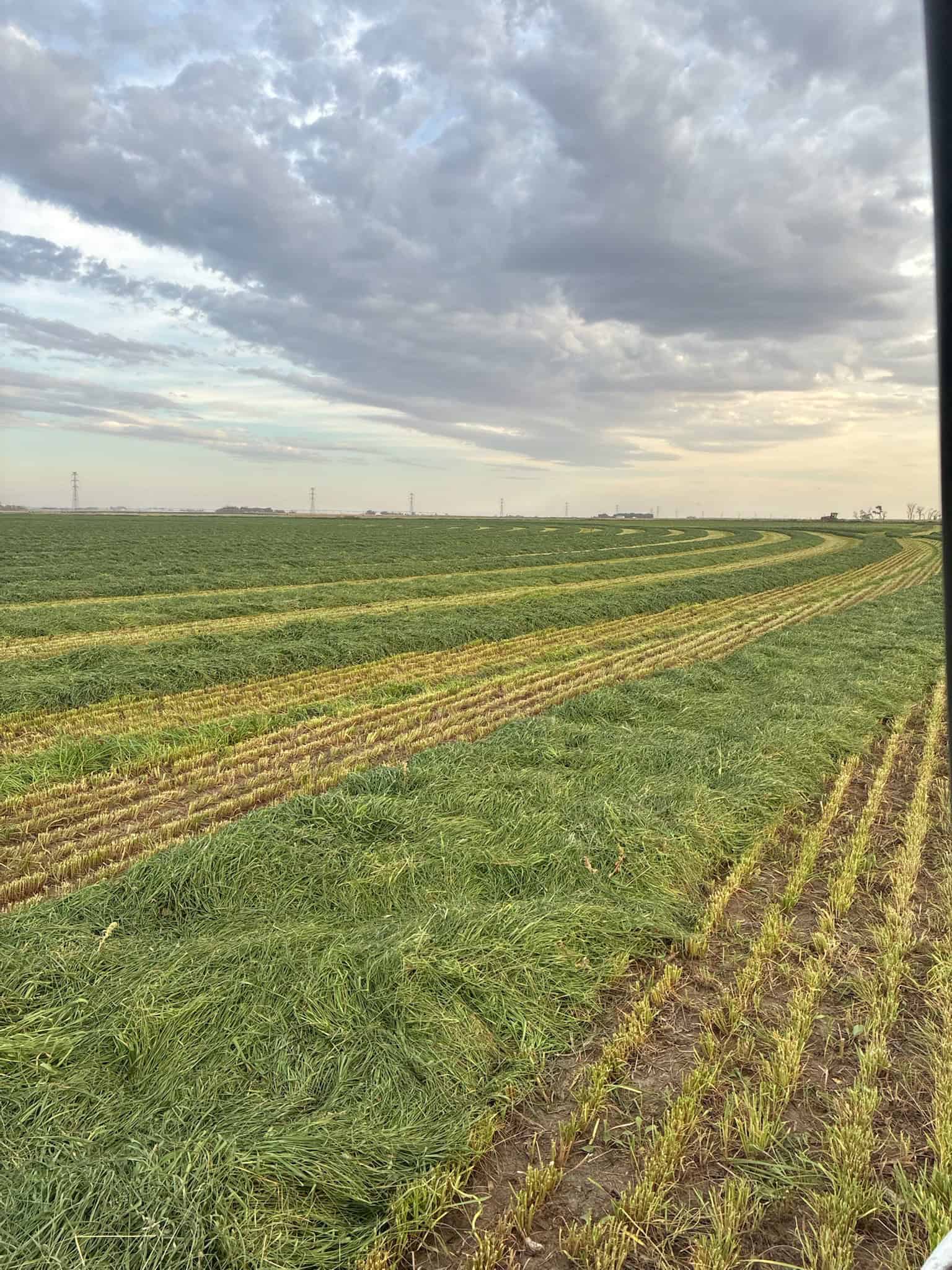 205079 Township Road 112 Picture Butte AB T0K 1V0
