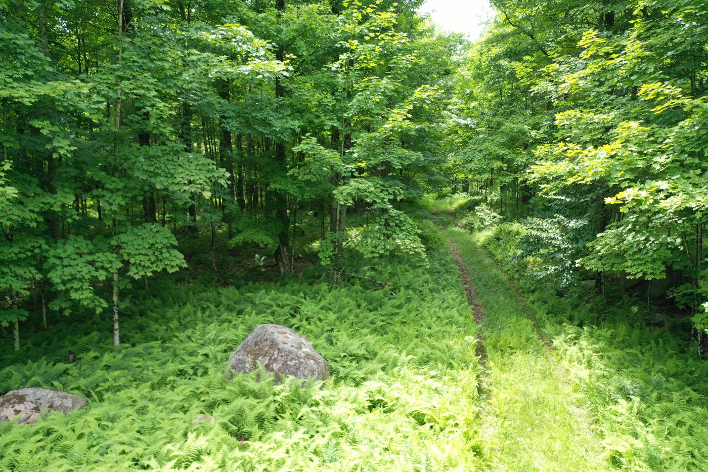 Jones Road Colton NY