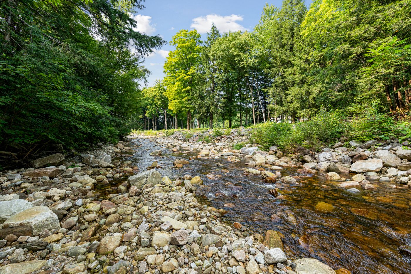 527 Benson Road Manchester VT 05255
