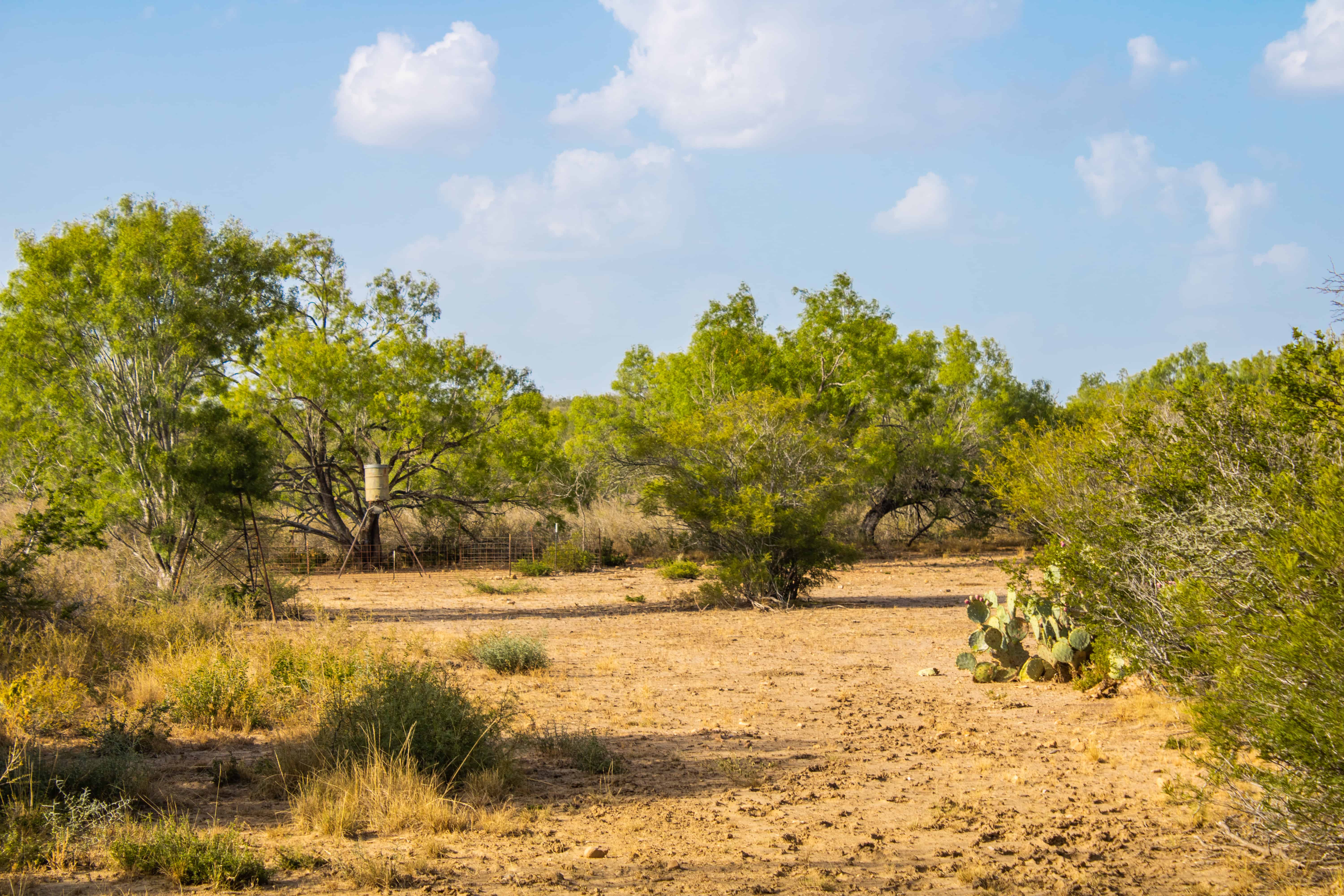 1,166+/ Acre West Black Creek Ranch Prime Northern Frio County
