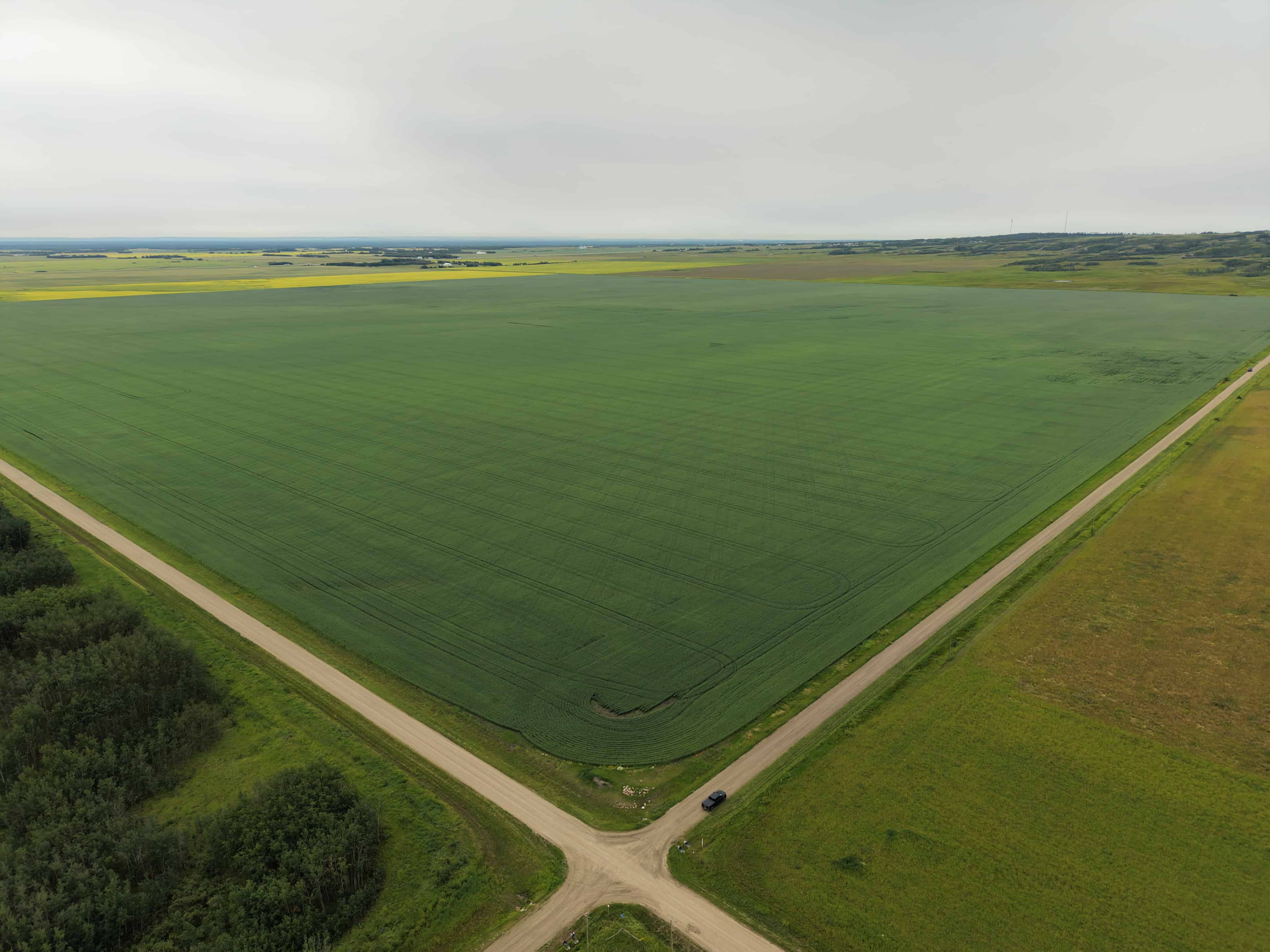 Highway 43 Grande Prairie County AB T8X 4C3