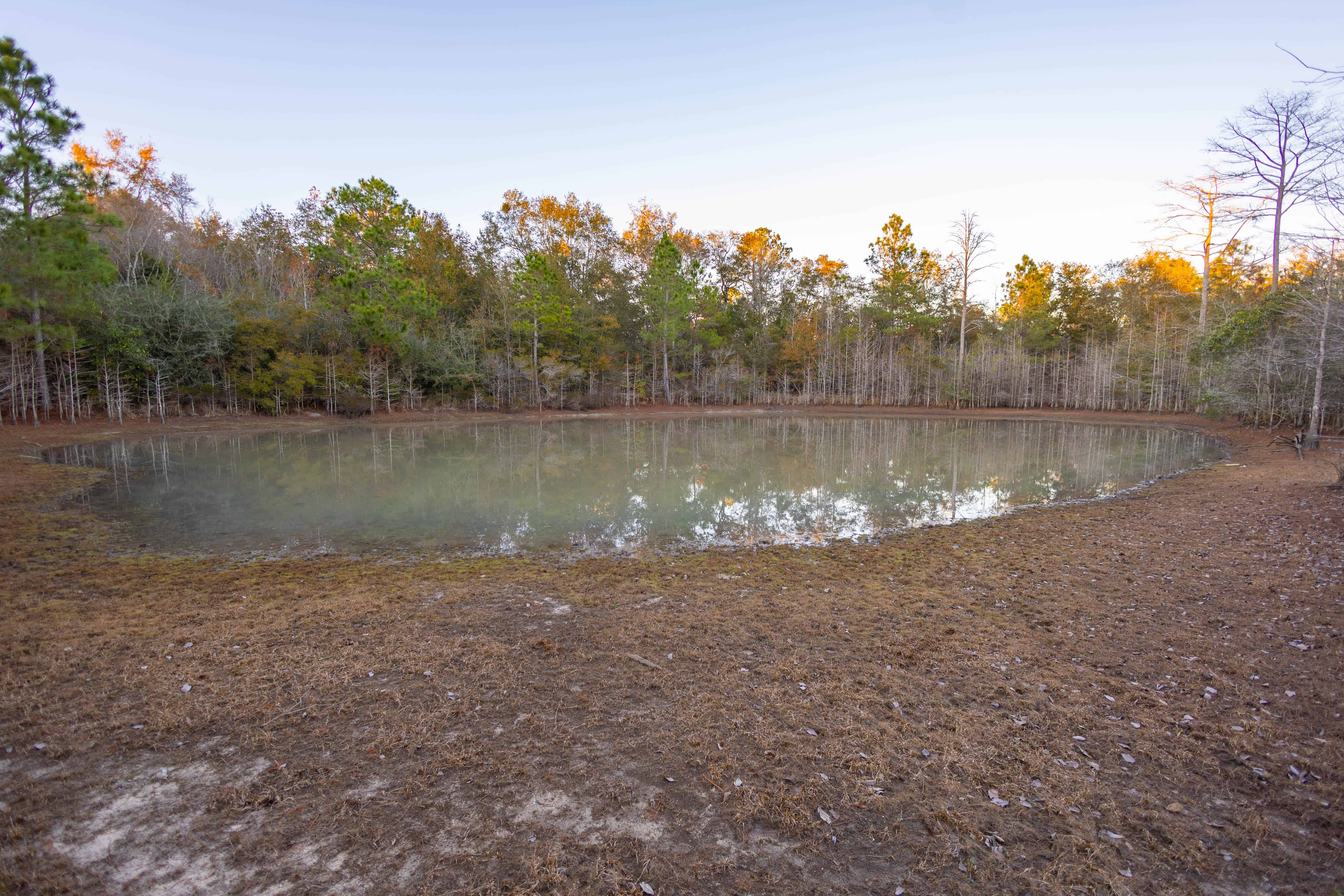 W Highway 52 Samson AL 36477